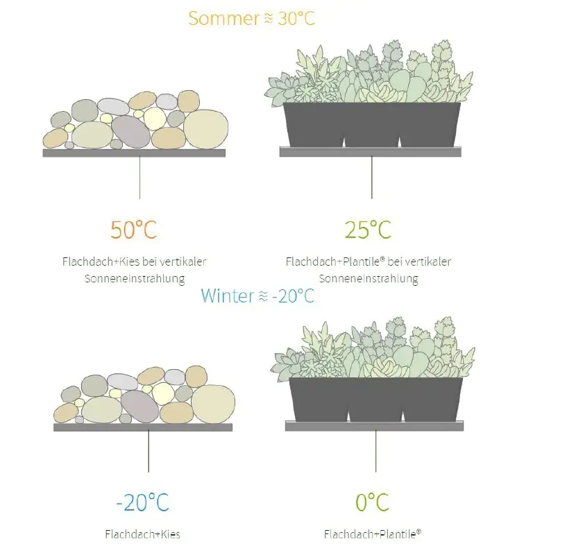 Dachbegrünung bis 25° Dachneigung 6m²