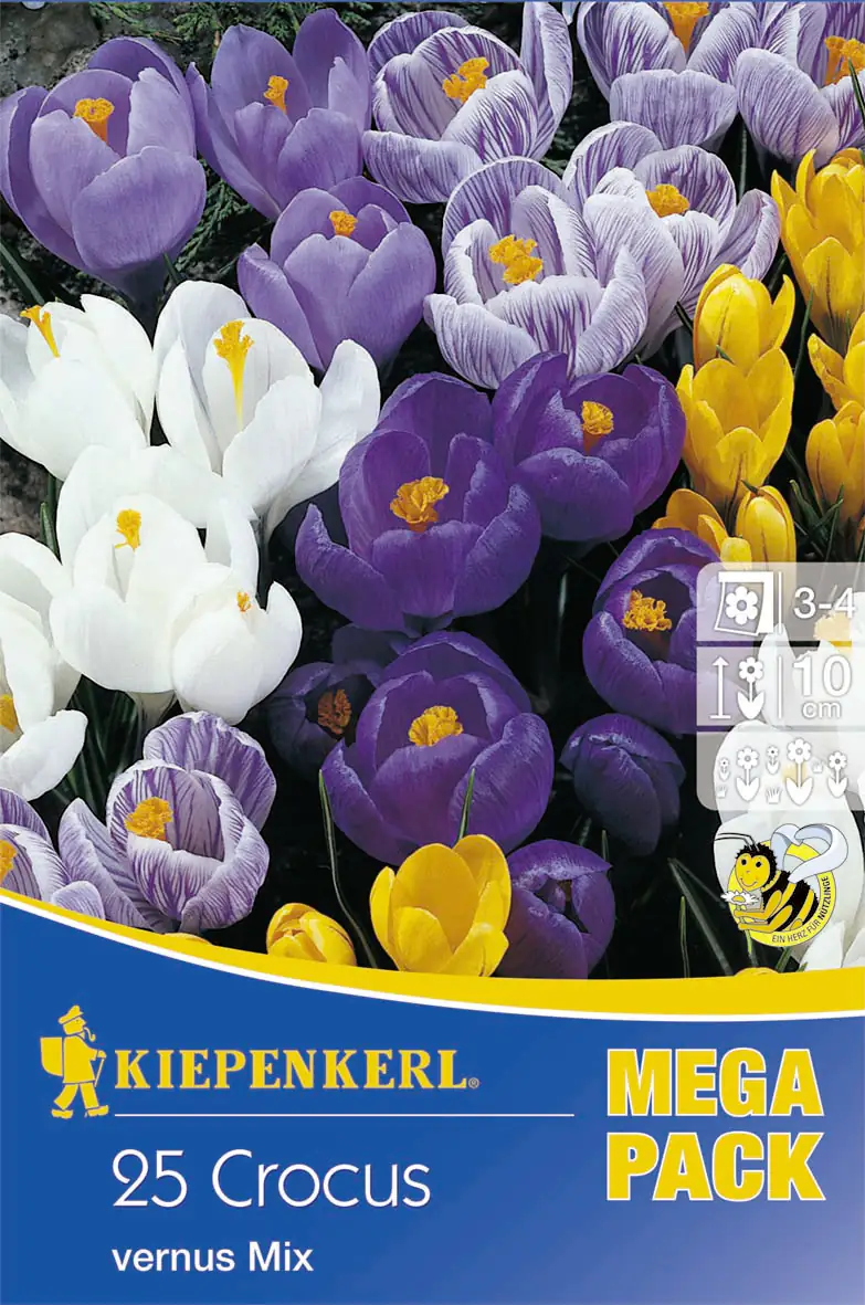 Kiepenkerl Blumenzwiebeln Mega-Pack Gartenkrokusmischung Crocus vernus, Inhalt: 25 Stück