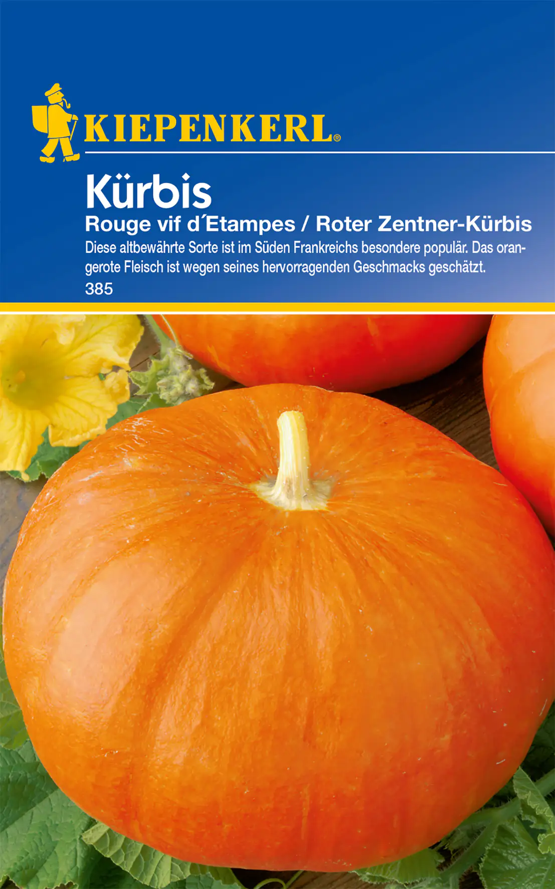Kiepenkerl Kürbis Rouge vif d'Etampes