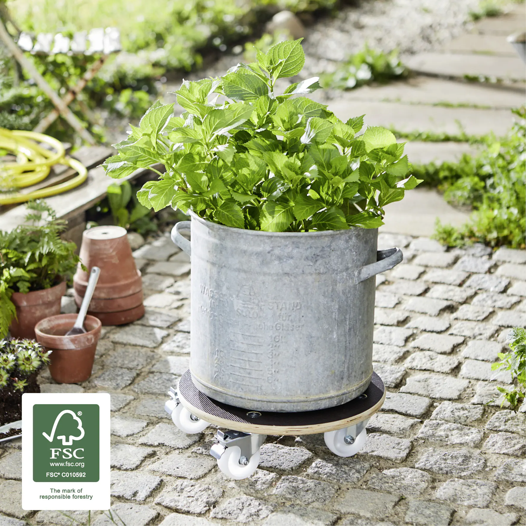 WAGNER Pflanzenroller Maxigrip rund Ø 38 cm Tragkraft bis max. 250 kg WAGNER Pflanzenroller Maxigrip rund Ø 38 cm Tragkraft bis max. 250 kg