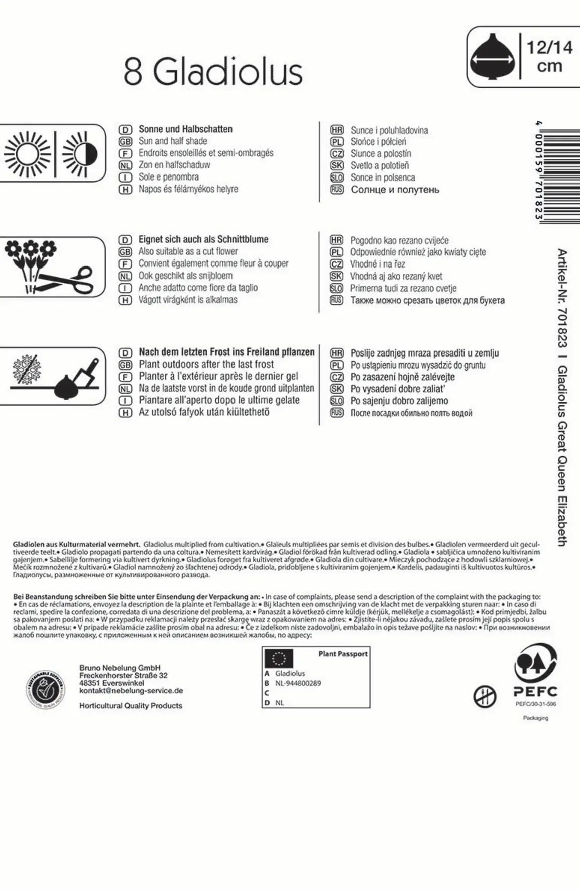 Kiepenkerl Großblumige Gladiole The Great Queen Elisabeth