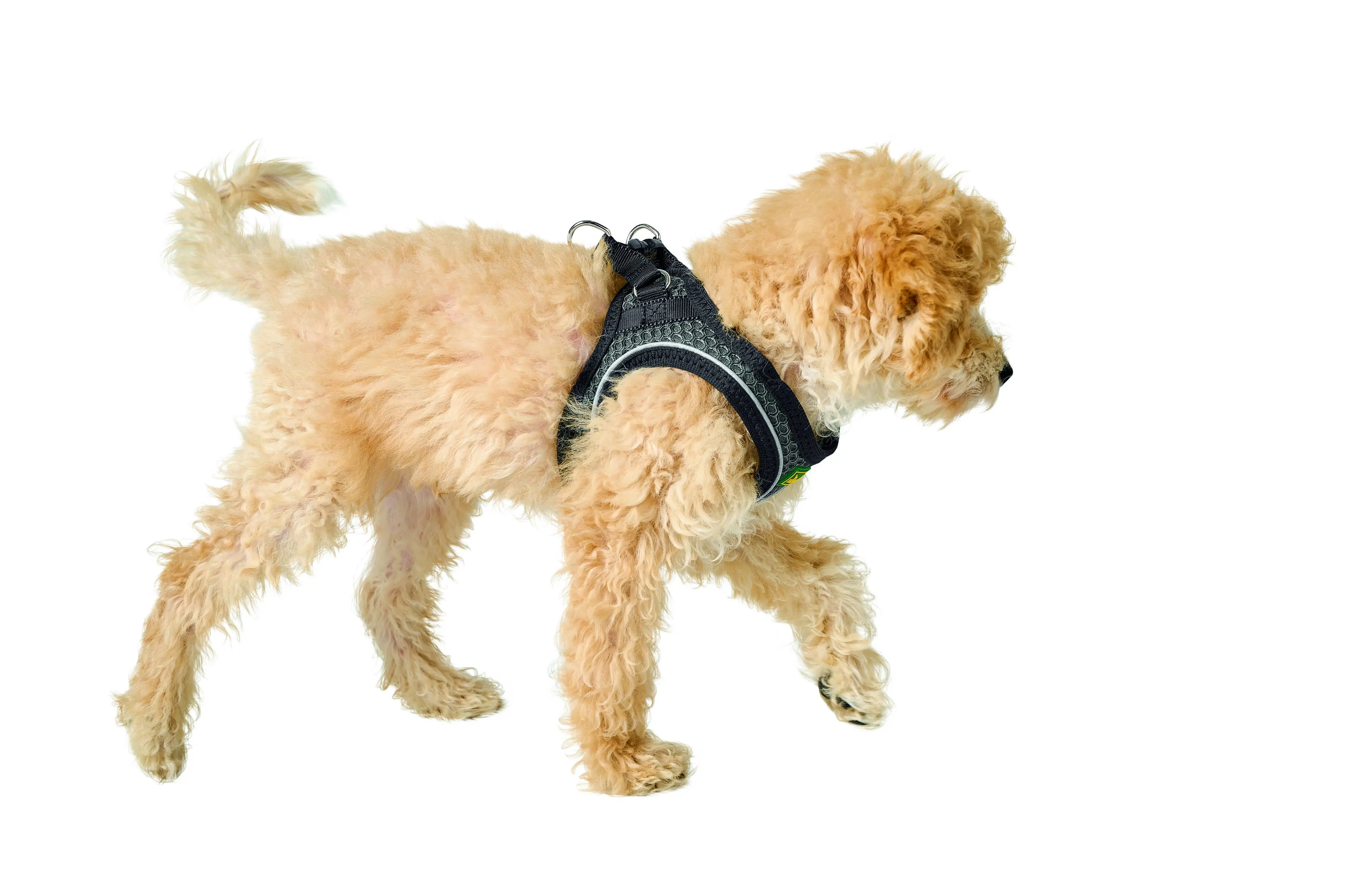 Hunter Hundegeschirr Hilo Comfort XXS-XS anthrazit
