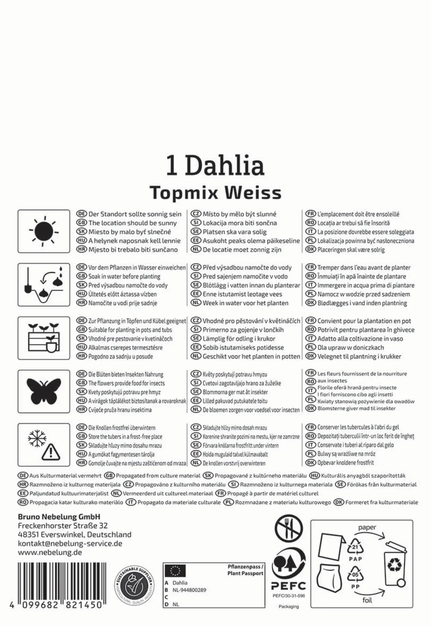 Kiepenkerl Frühjahrsblumenzwiebel Beet- & Topf-Dahlie Topmix Weiß 1 Stück