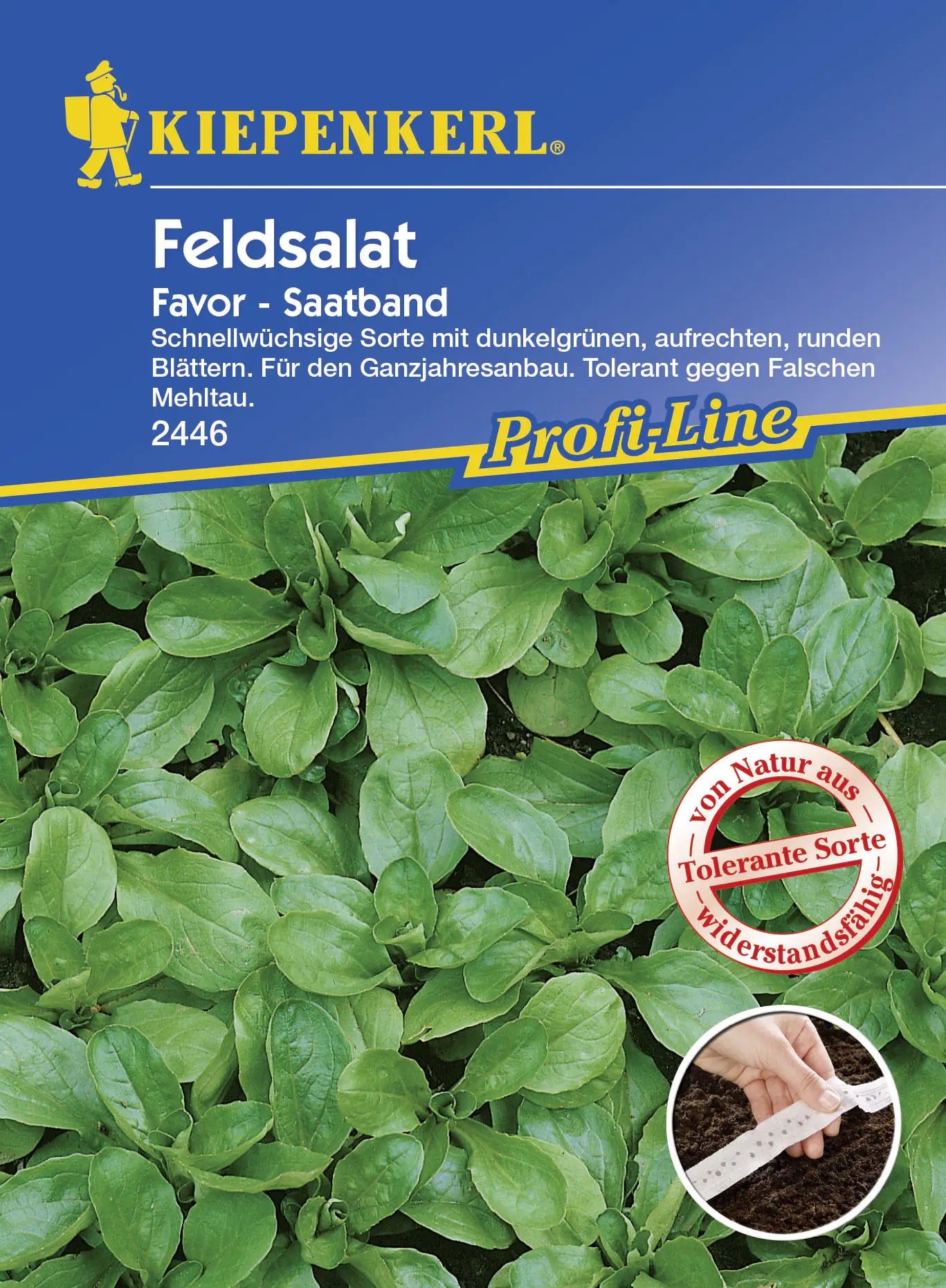 Kiepenkerl Feldsalat Favor Valerianella locusta, Inhalt: ca. 5 lfd. Meter Kiepenkerl Feldsalat Favor Valerianella locusta, Inhalt: ca. 5 lfd. Meter