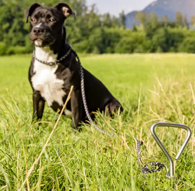 Windhager Spiralhering 41 cm 