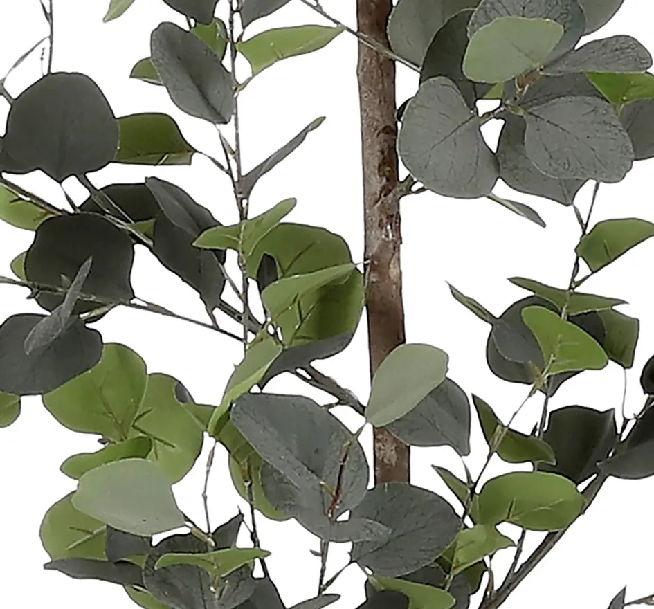 Mica Decorations Kunstpflanze Eucalyptus im Topf grün Ø 30 x 150 cm