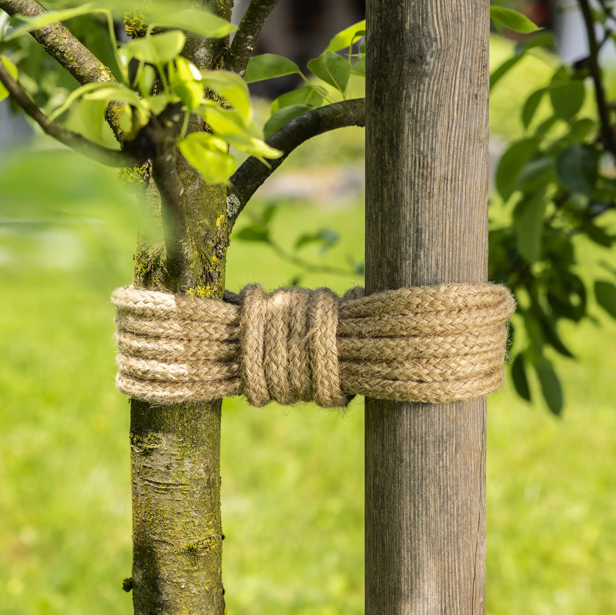 Windhager Jutestrick 5 m geflochten