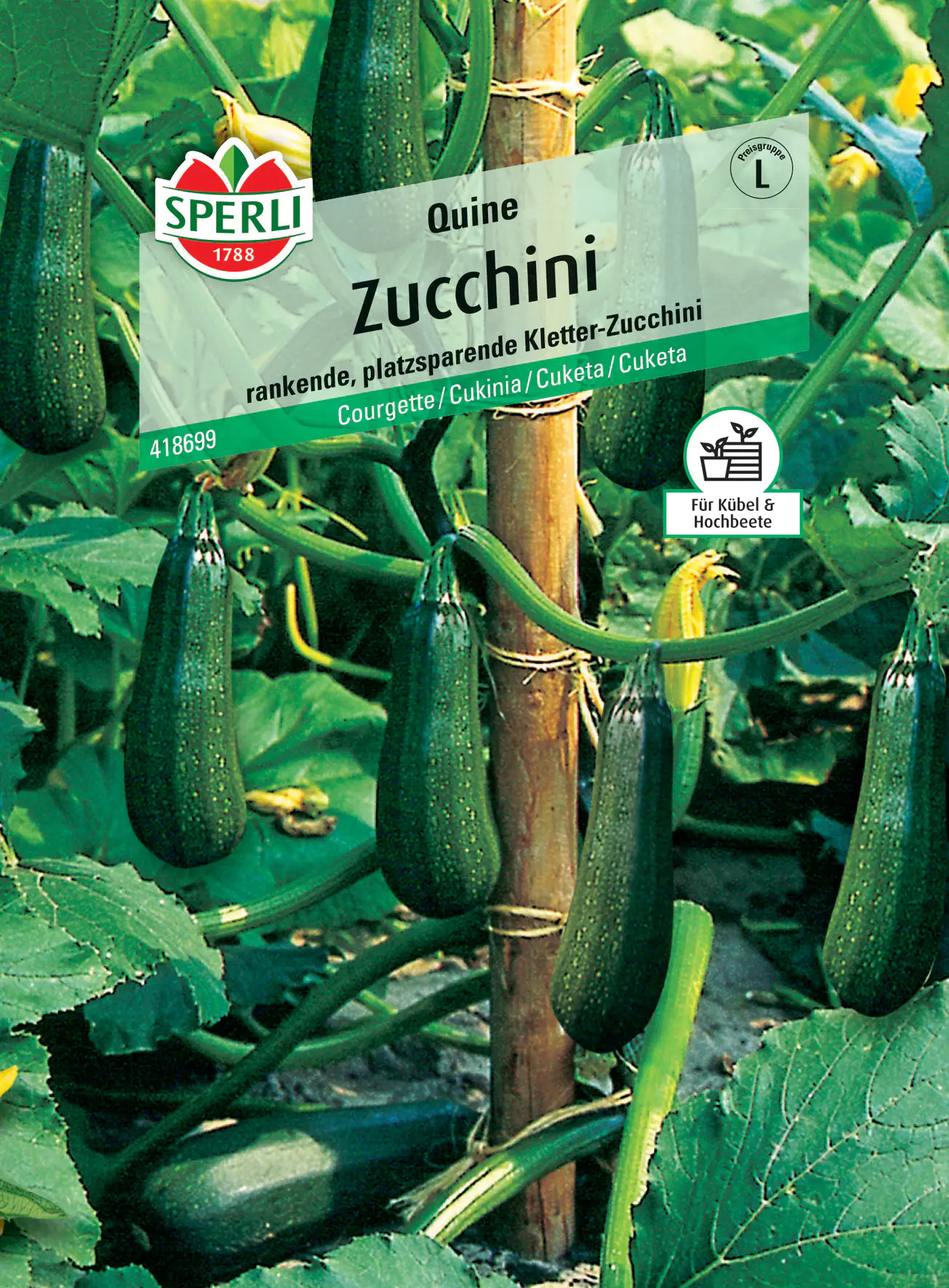 Sperli Zucchini Quine F1 Sperli Zucchini Quine F1