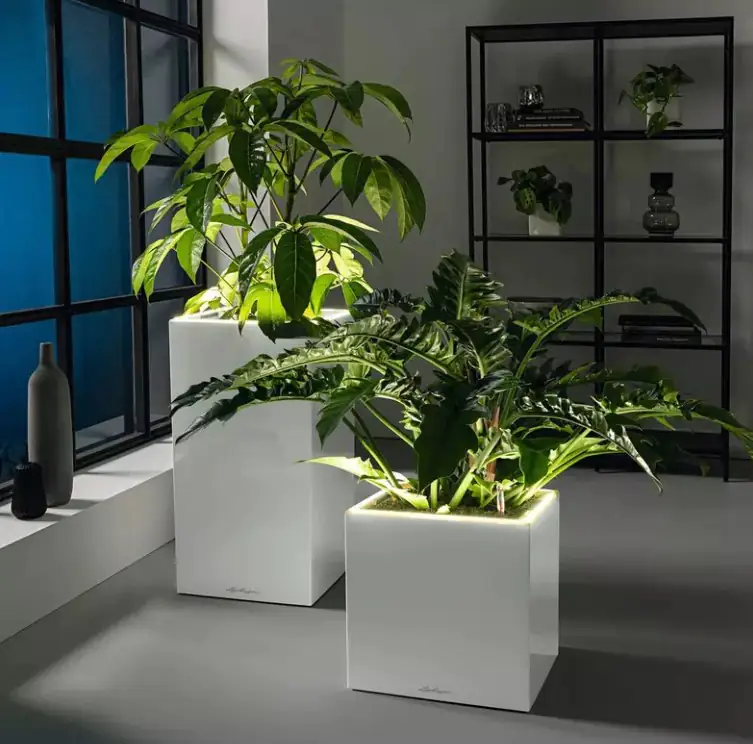 Lechuza Pflanzgefäß Canto Premium 40 LED low anthrazit metallic Lechuza Pflanzgefäß Canto Premium 40 LED low anthrazit metallic