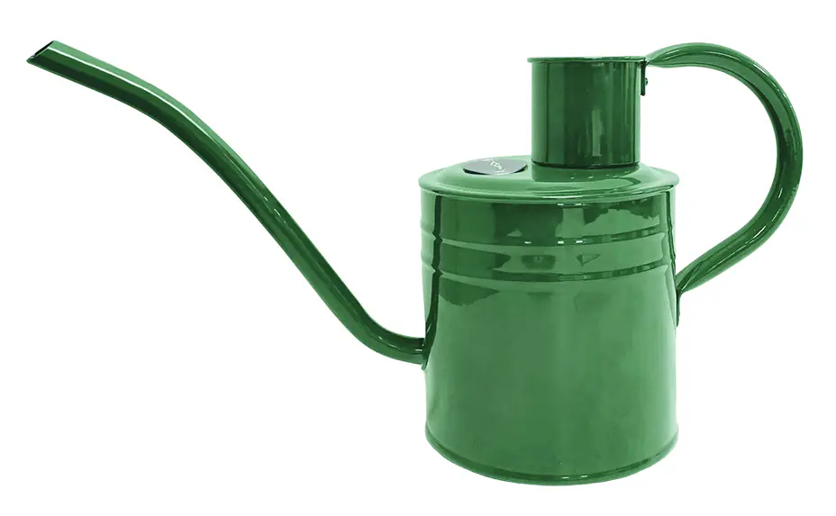 Kent & Stowe Gießkanne 1 L Stahl grün