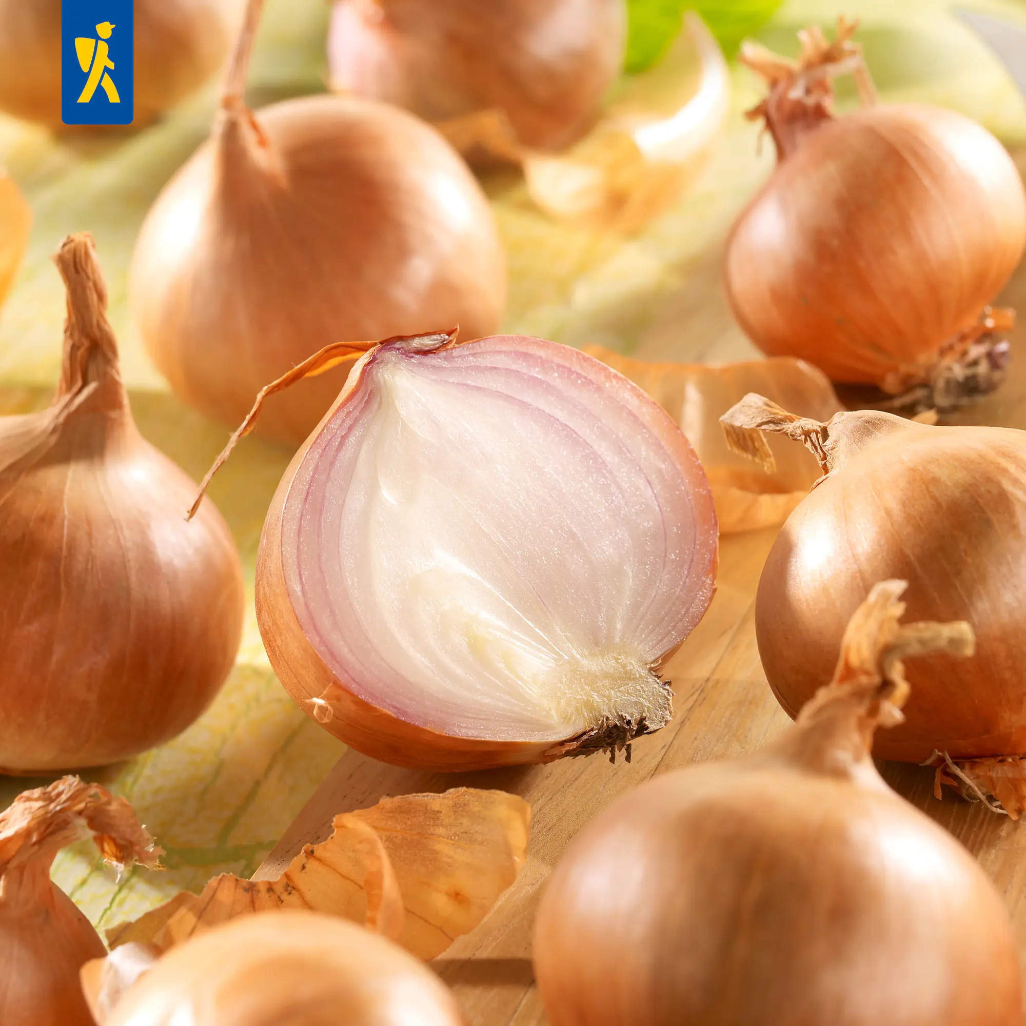 Kiepenkerl Saatgut Schalotten Red Sun 400 g