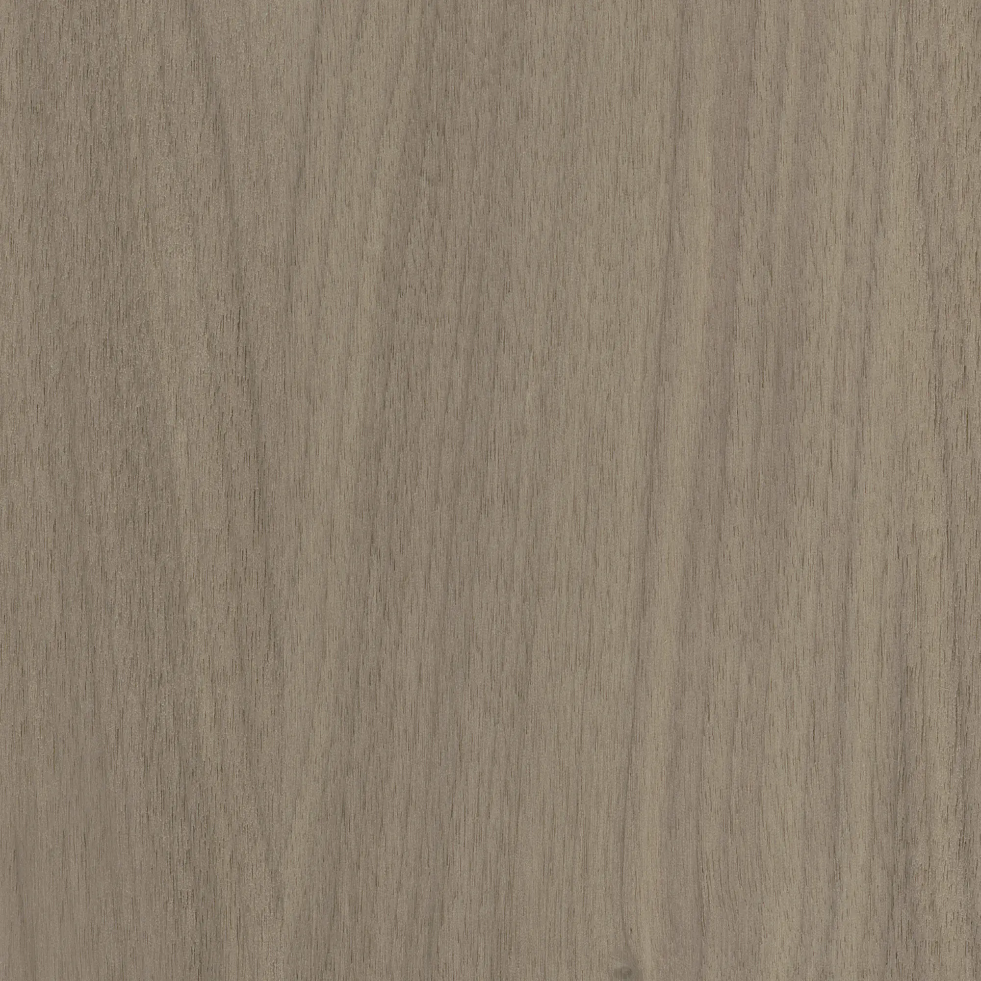 Neuhofer Akustikpaneele Echtholz Walnuss 240 x 57 x 1,9 cm braun