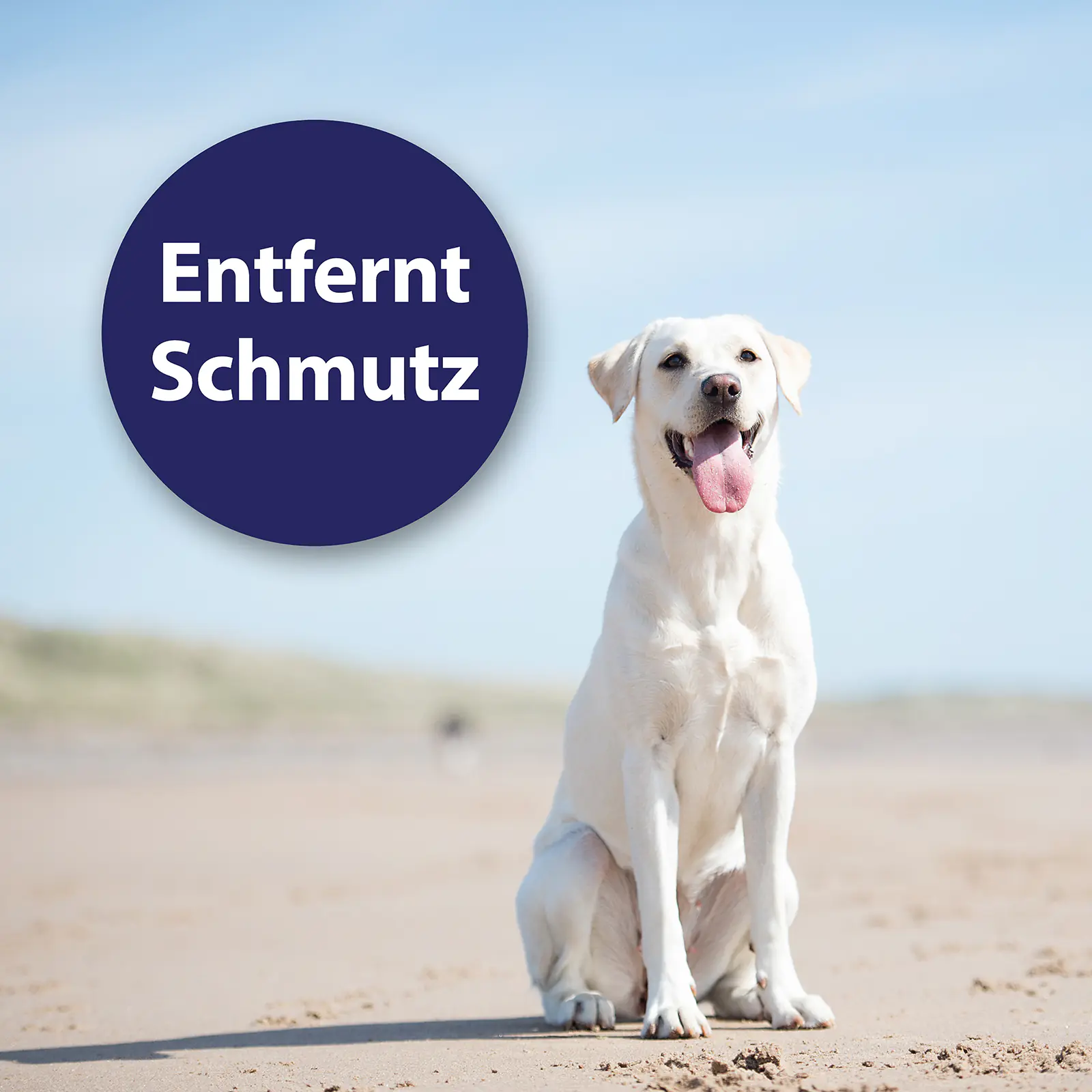 Canosept Ohrpflege Fingerpads für Hunde 50 Stück