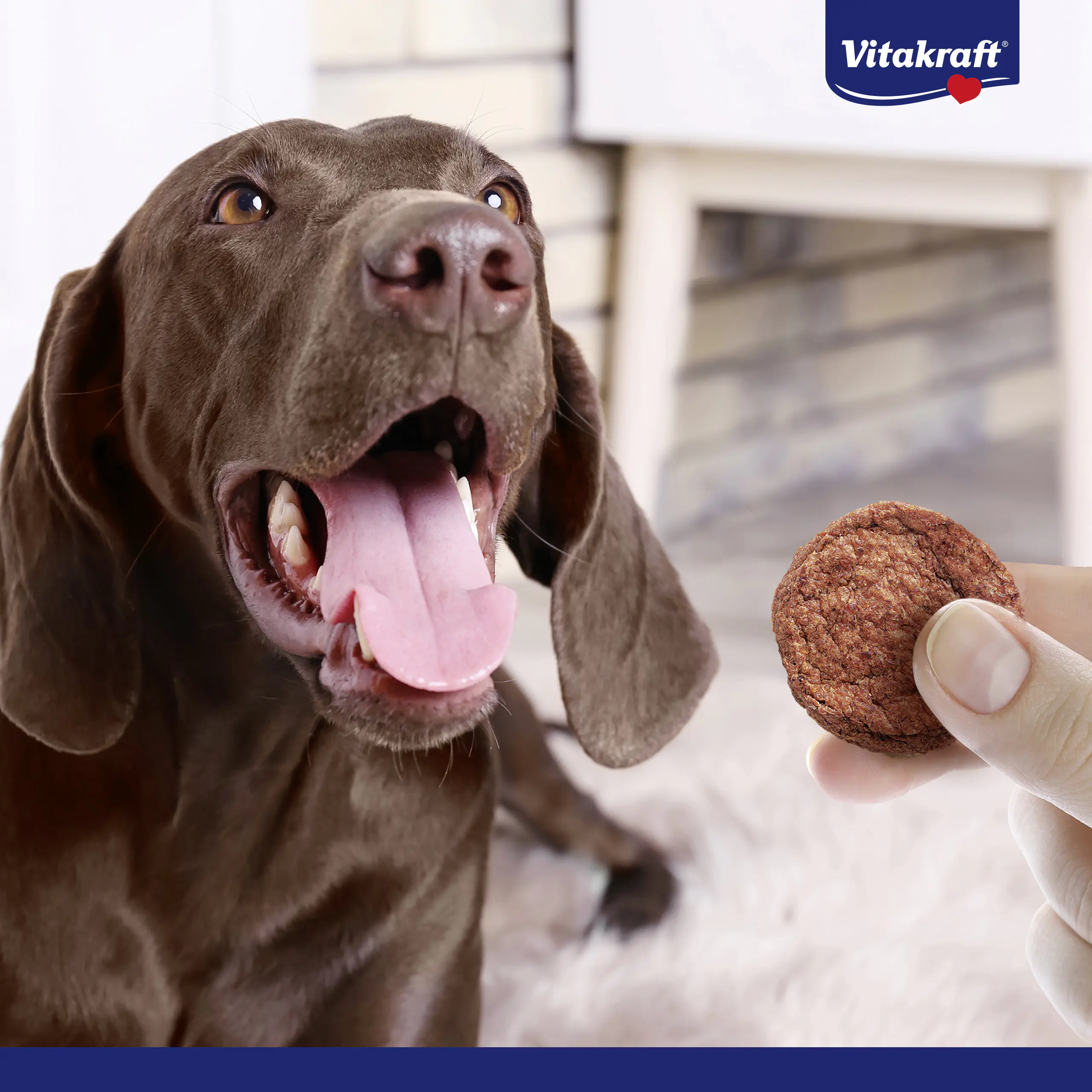 Vitakraft Hundeleckerli Beef Burger 27 g Rind