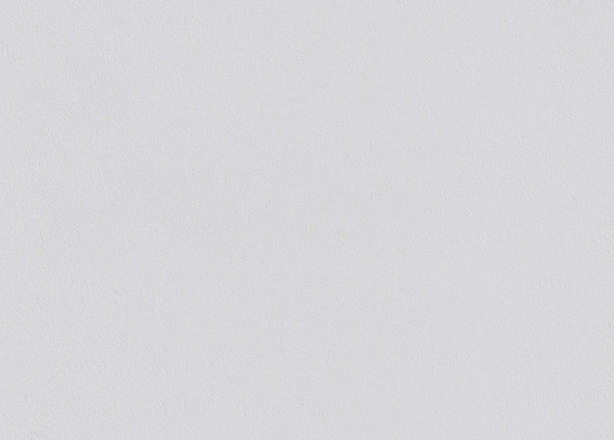 4000599007516_3 Erfurt Variovlies Sisal weiß 0,75 x 20 m