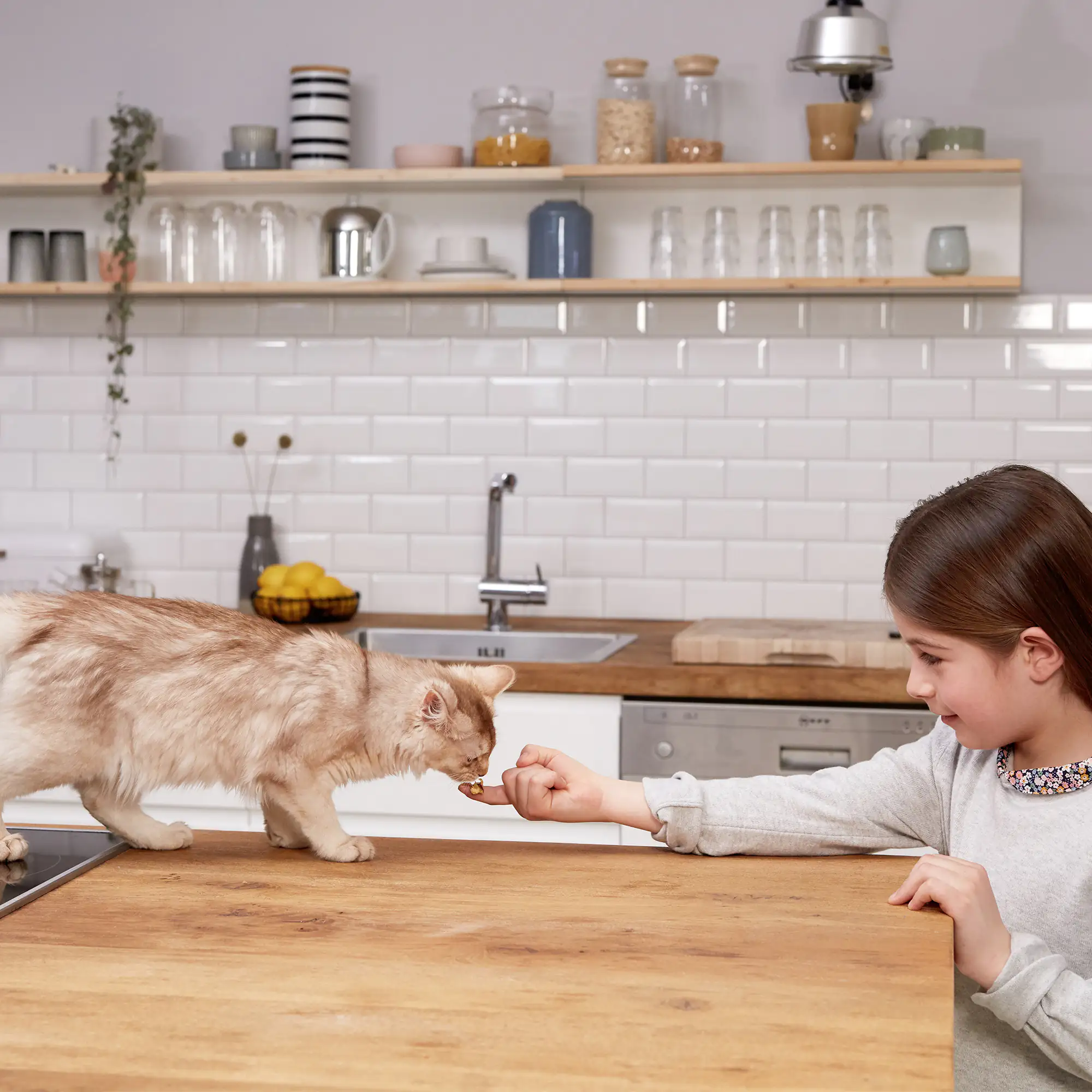 GimCat Yoghurt 150 g