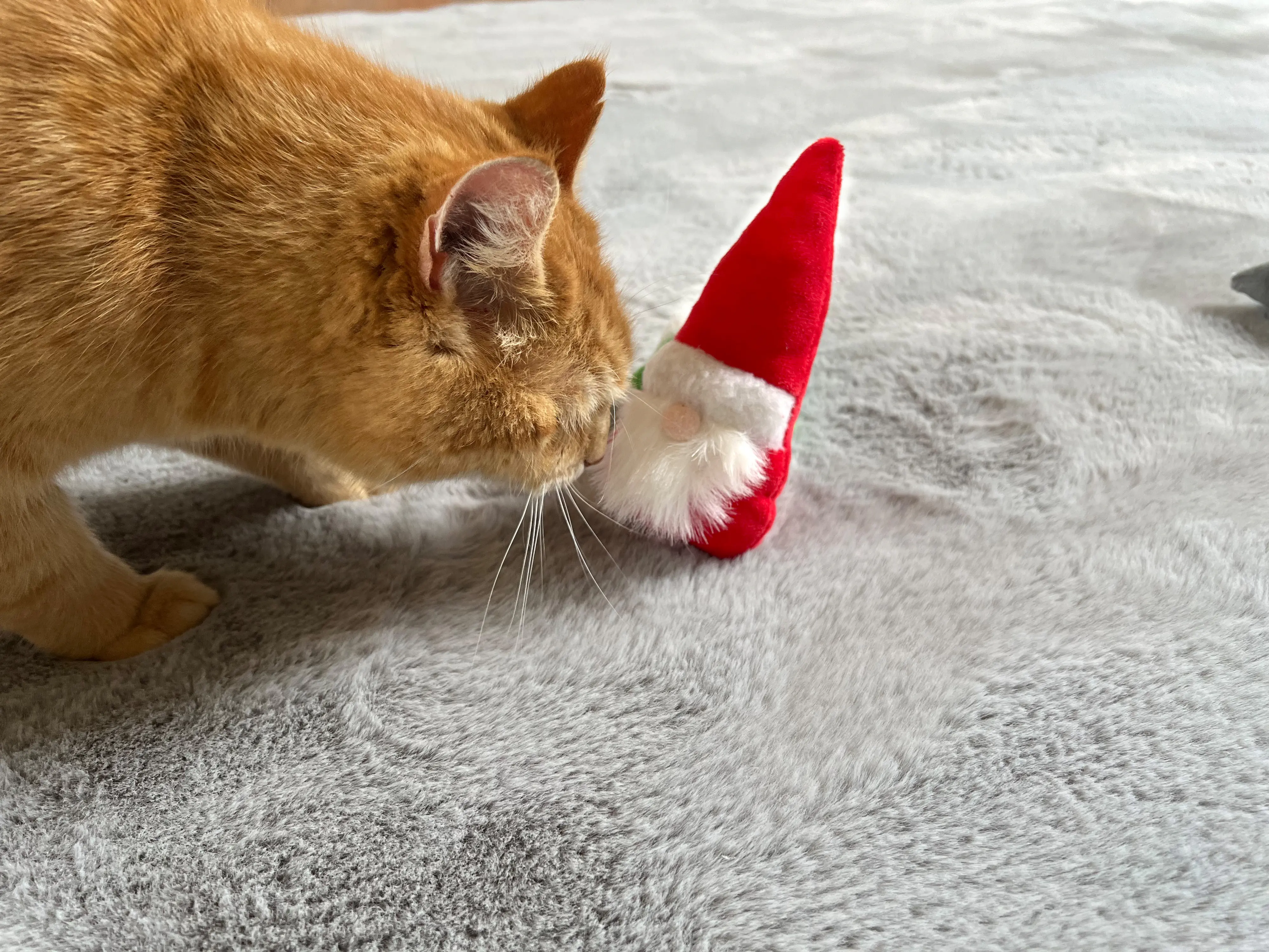 Aumüller Katzenspielzeug Weihnachtswichtel 15 cm - 3 Stk. Aumüller Katzenspielzeug Weihnachtswichtel 15 cm - 3 Stk.