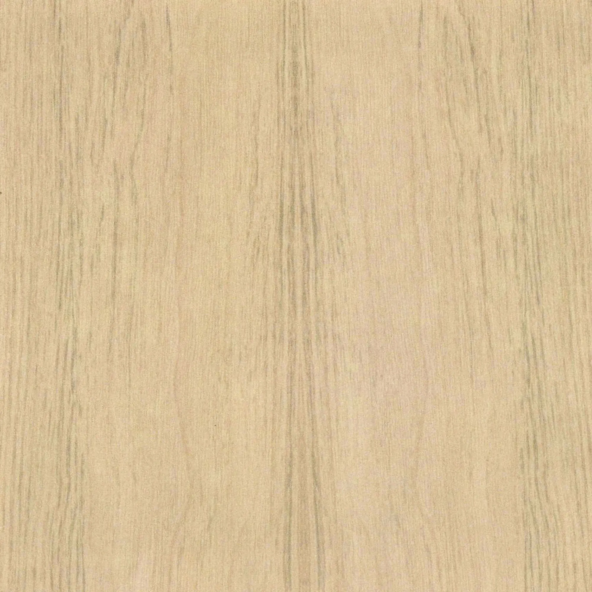 Neuhofer Fußleiste 240 cm 58 x 19 mm Eiche Burlington