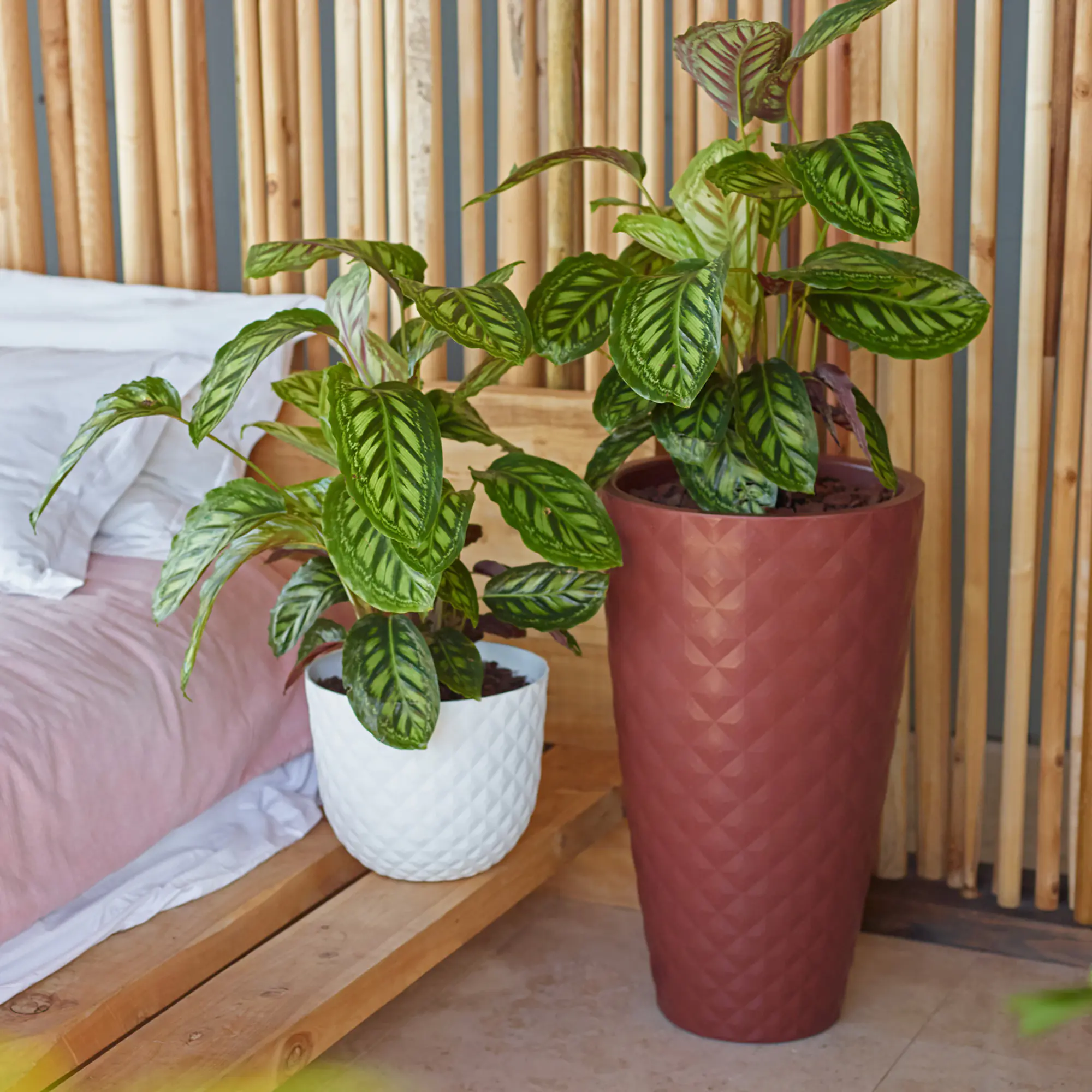 Artevasi Pflanztopf Havana Tropical Kunststoff grau matt Ø 20 x 17 cm