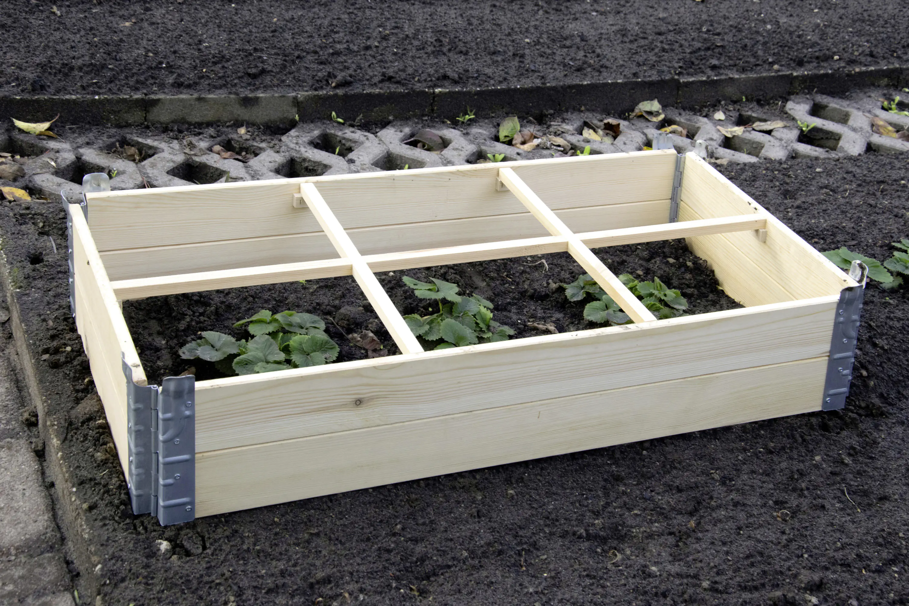 Dobar Frühbeet mit Untersatz transparent Kiefer 100 x 50 x 50 cm