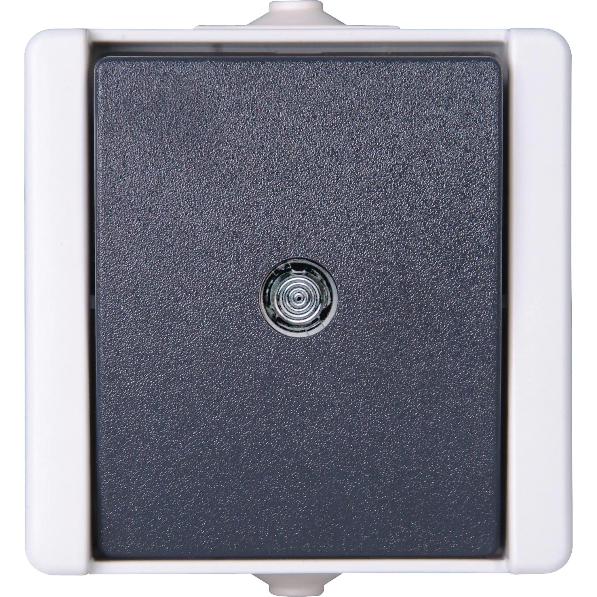 Kopp Taster beleuchtet proAQA grau Aufputz 540396001