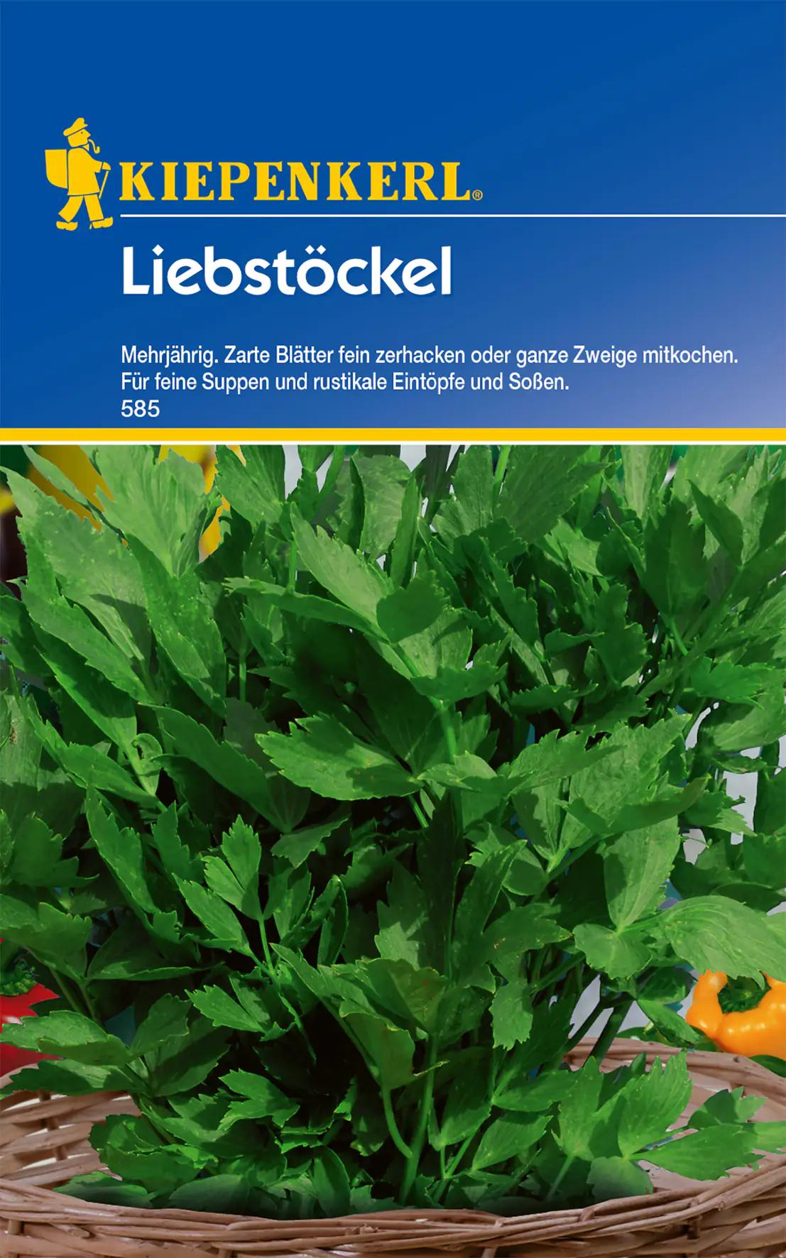 Kiepenkerl Liebstöckel mehrjährig Kiepenkerl Liebstöckel mehrjährig