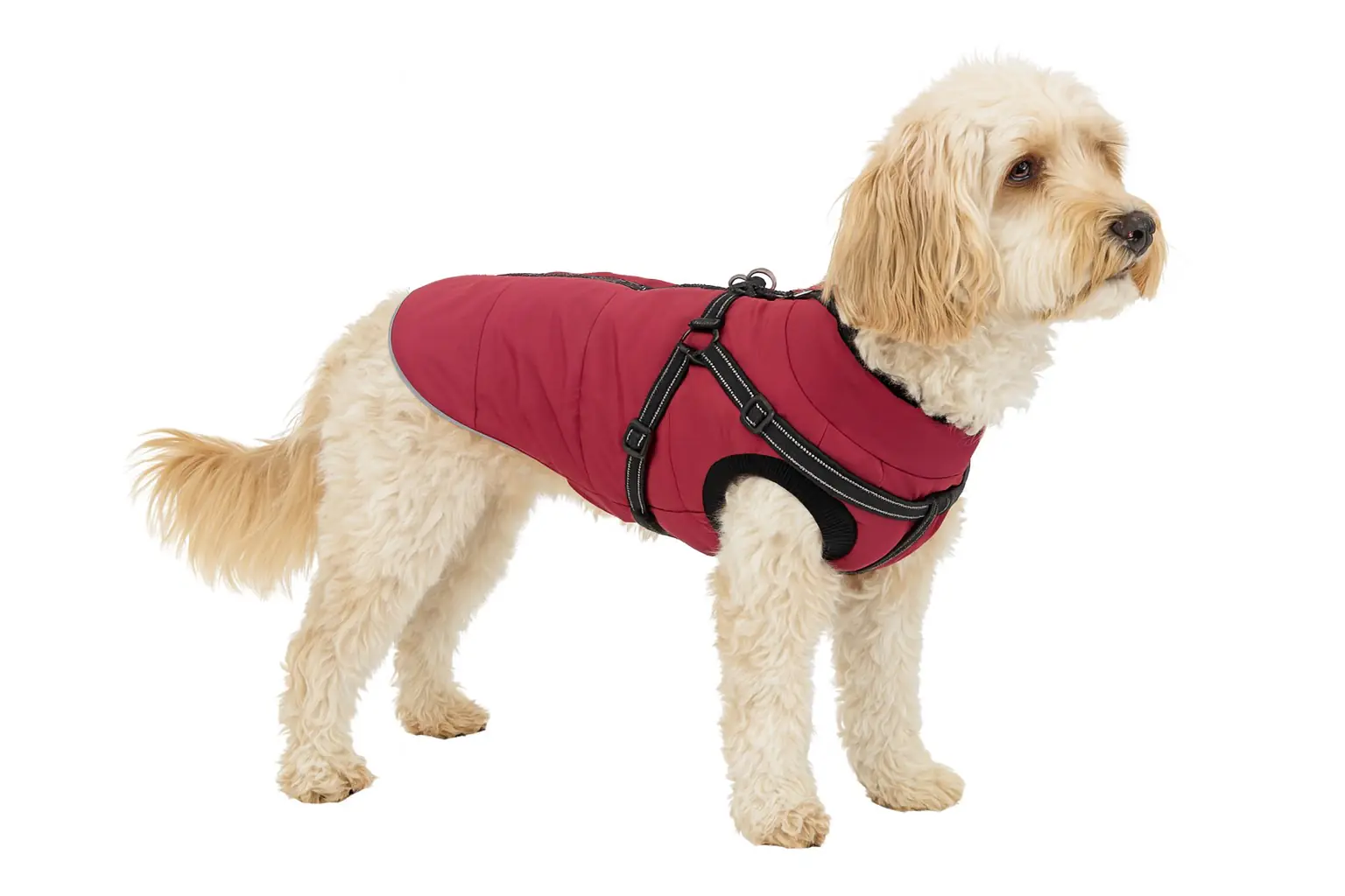 Nobby Hundemantel Salus 2 in 1 bordeaux Nobby Hundemantel Salus 2 in 1 bordeaux