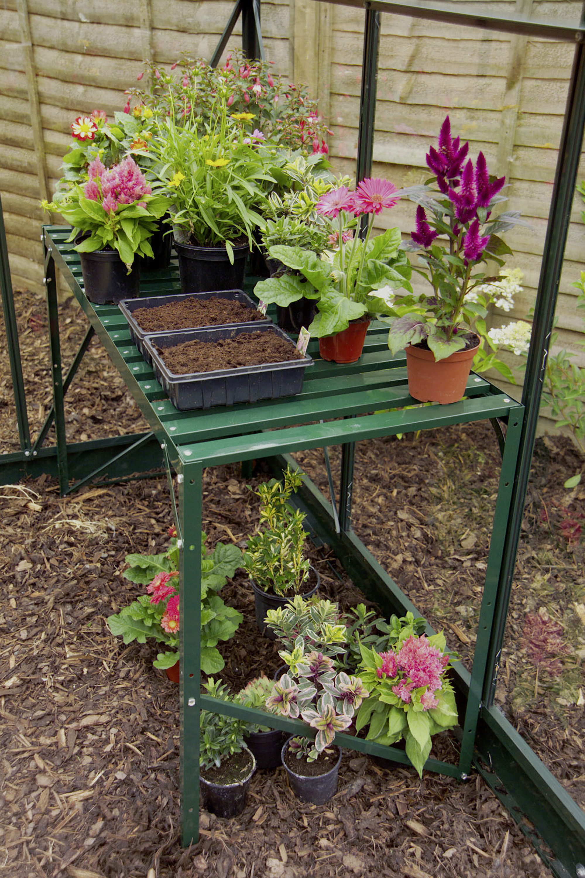 Vitavia Alutisch 121 x 54 x 76 cm smaragd 1 Ablage