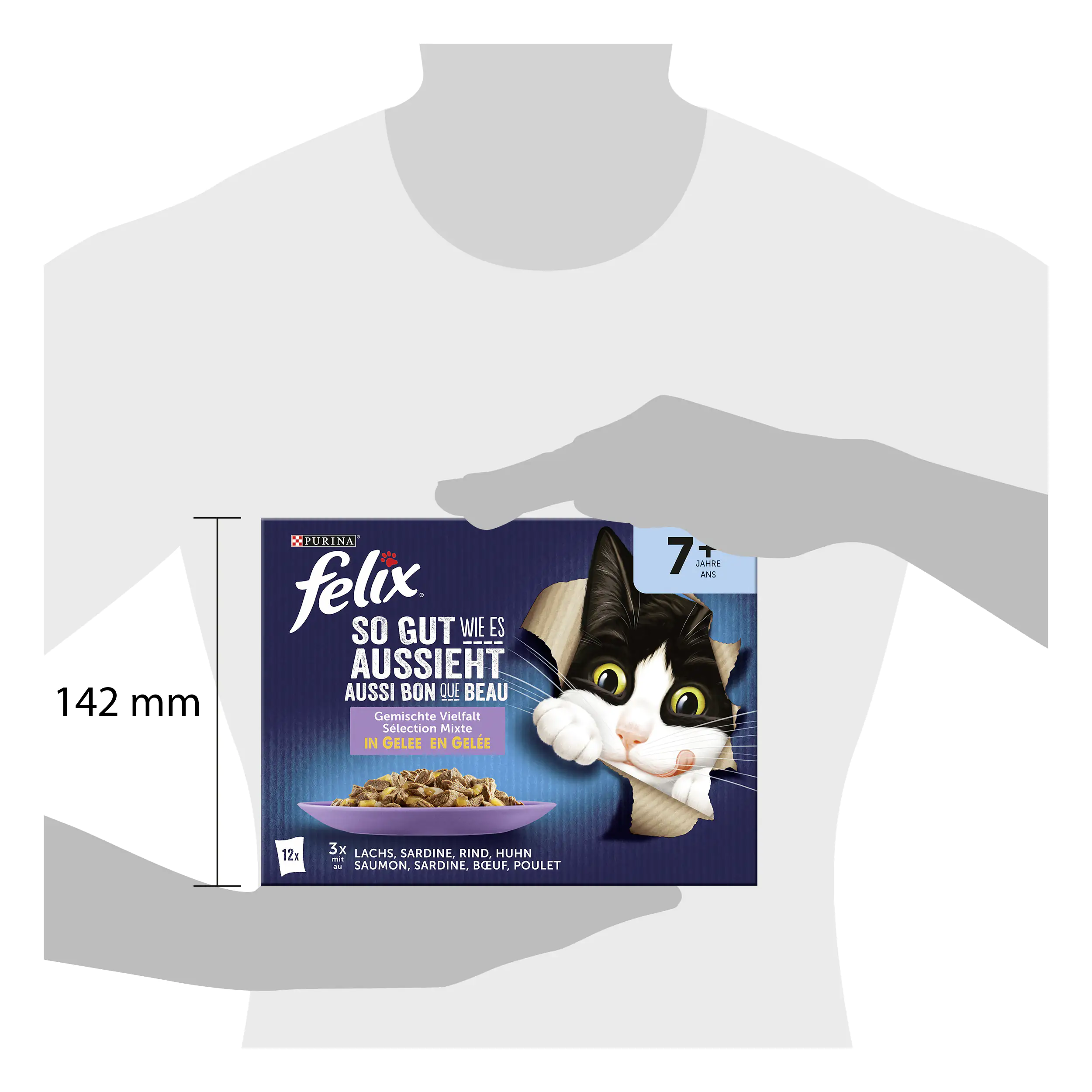 Felix Senior Gemischte Vielfalt in Gelee Katzenfutter 12 x 85g