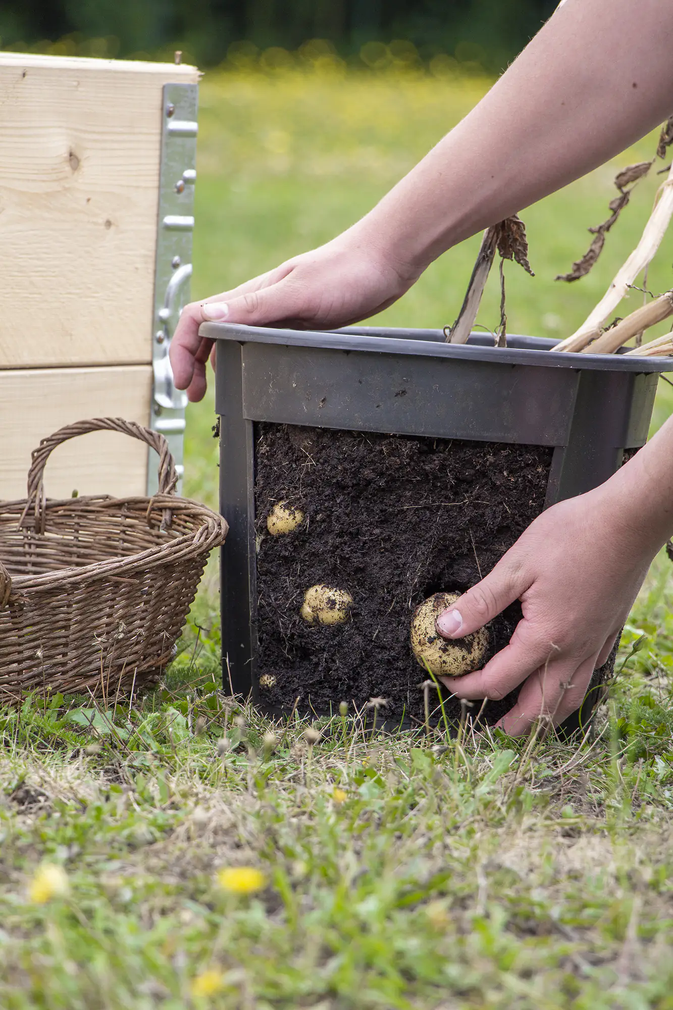Floragard Potato-Pot 1 Stück