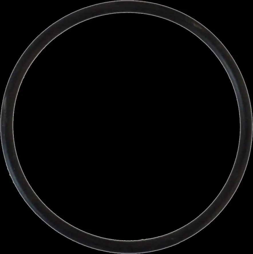 Sanicomfort O-Ring für Heizölfilter