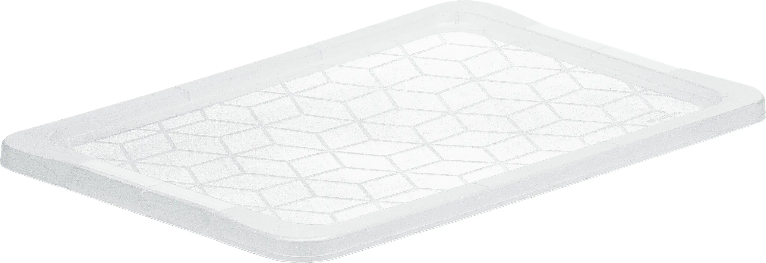 Rotho Deckel für Aufbewahrungsbox EVO Easy für 30 L, 44 L, 65 L transparent