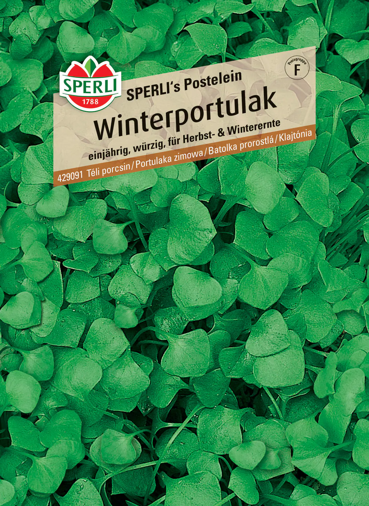 Sperli Winterportulak Sperli 's Postelein Sperli Winterportulak Sperli 's Postelein