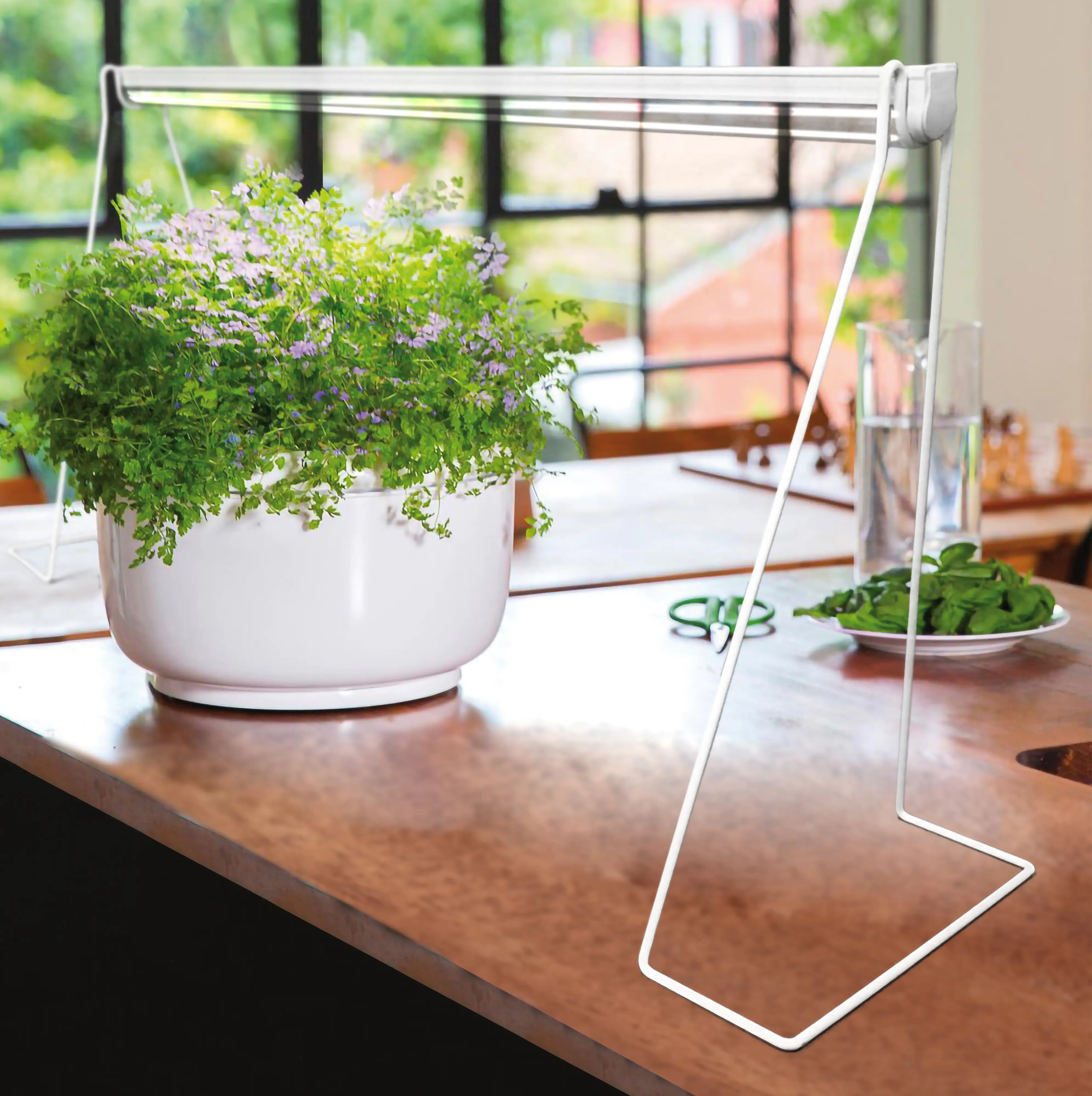 Bio Green Pflanzenleuchte Florabooster 200 60 cm