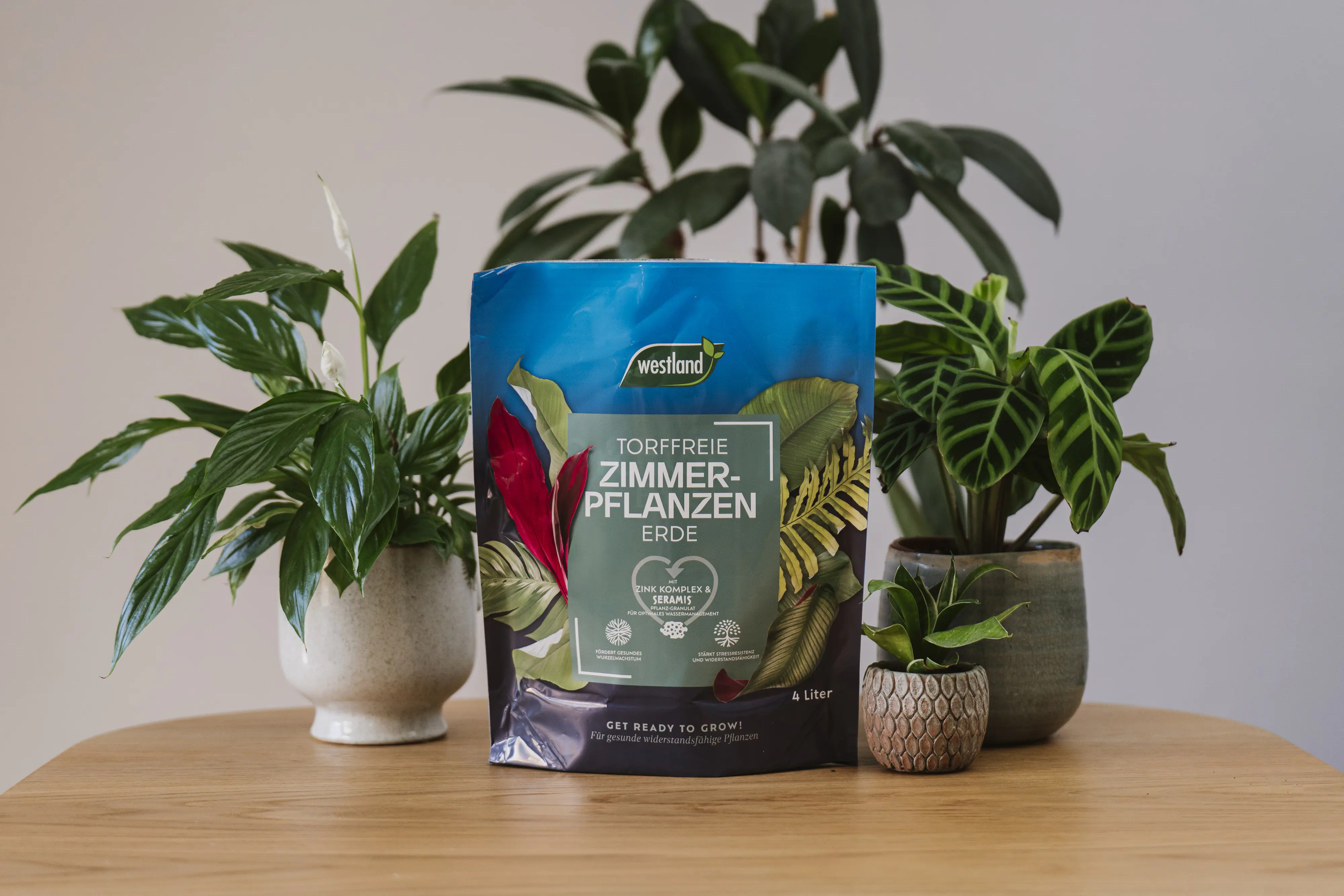 Westland Zimmerpflanzen Erde torffrei 4 L Westland Zimmerpflanzen Erde torffrei 4 L