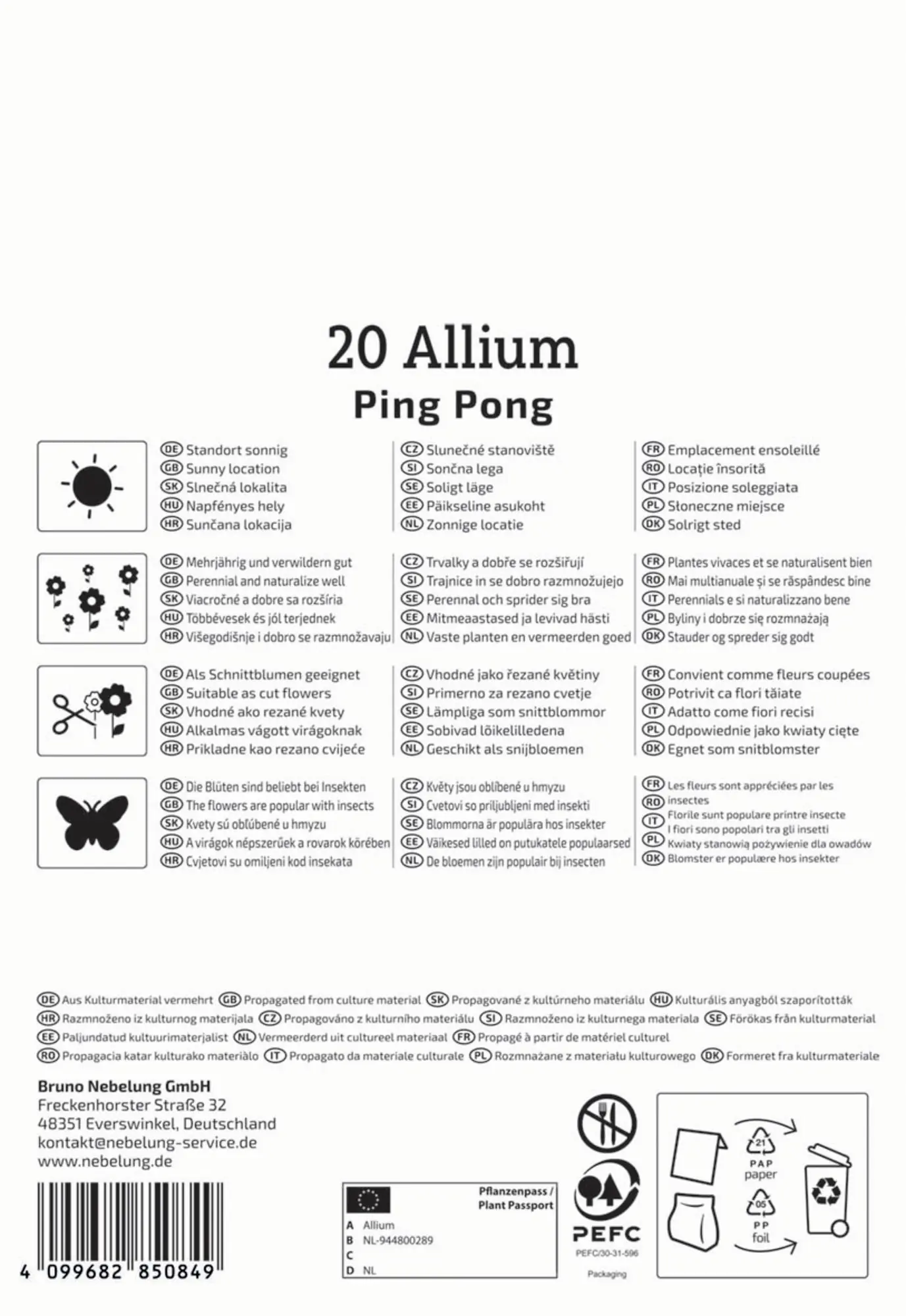 Kiepenkerl Herbstblumenzwiebel Zierlauch Ping Pong 20 Stück