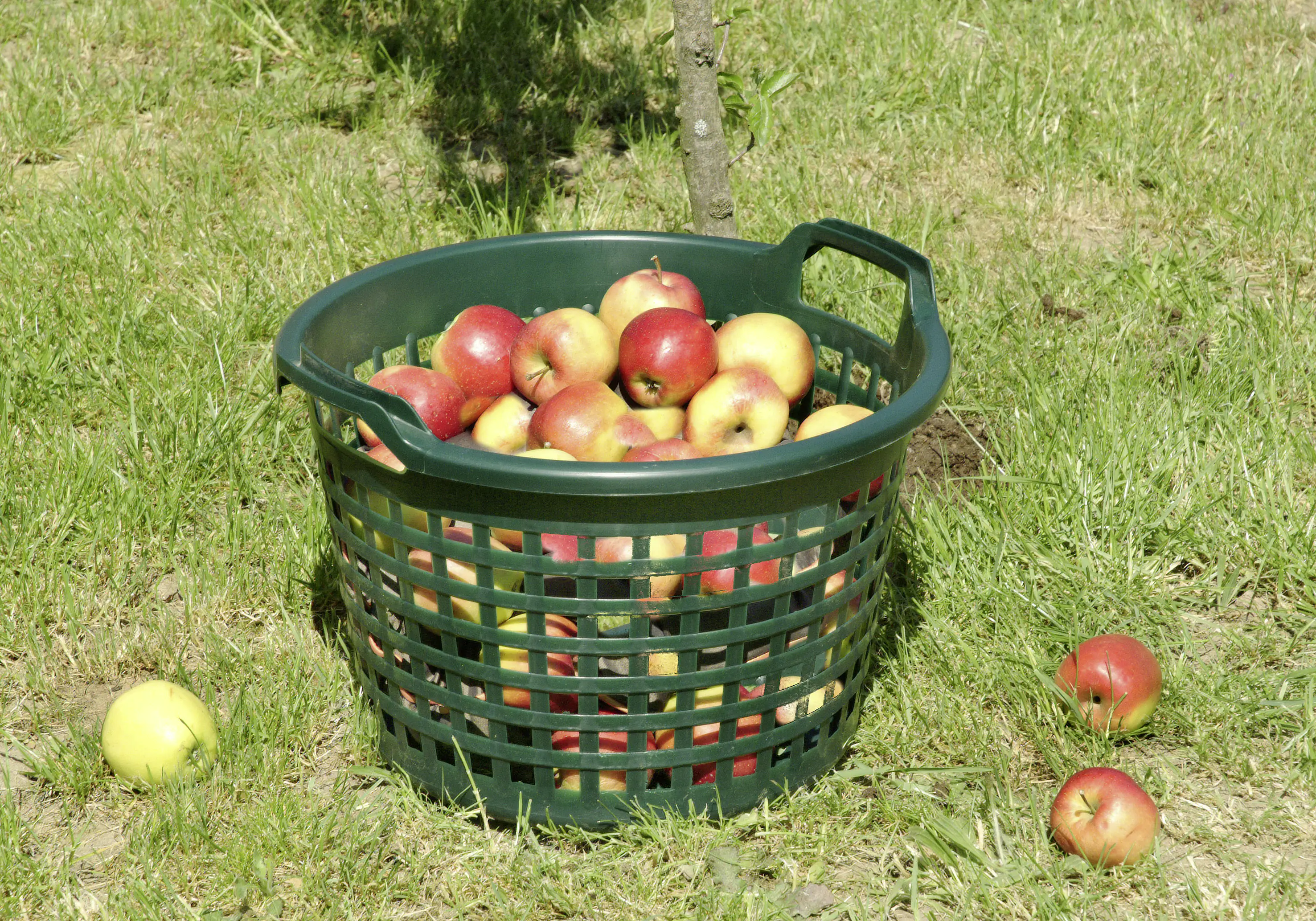 Floraworld Gartenkorb 22 l