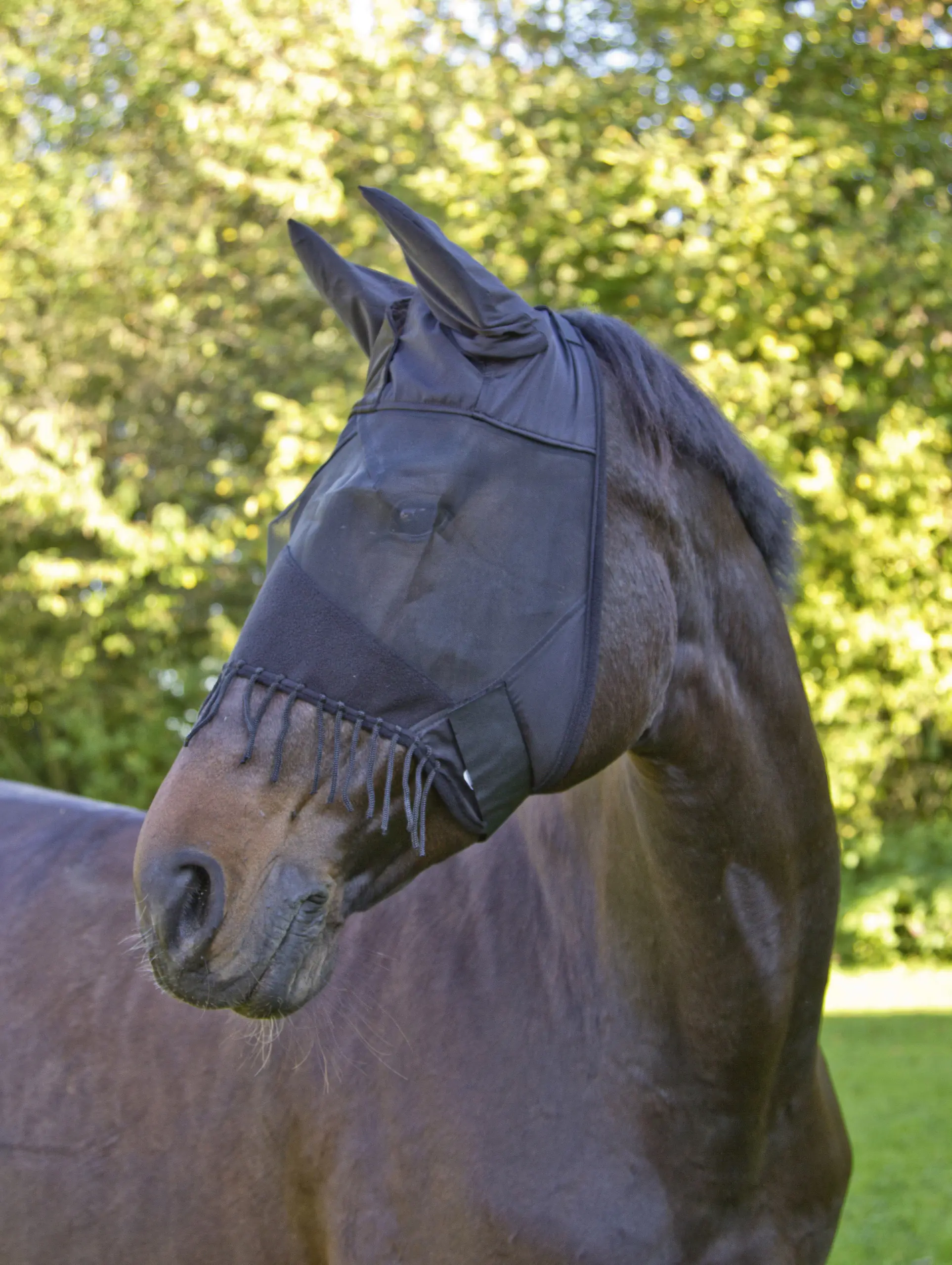 Kerbl Covalliero Fliegenschutzmaske Cob mit Ohrenschutz & Nüsternkordel