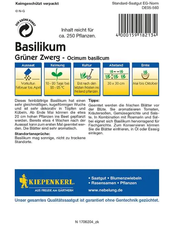 Kiepenkerl Profi-Line Basilikum Grüner Zwerg Ocimum basilicum, Inhalt: ca. 250 Pflanzen Kiepenkerl Profi-Line Basilikum Grüner Zwerg Ocimum basilicum, Inhalt: ca. 250 Pflanzen