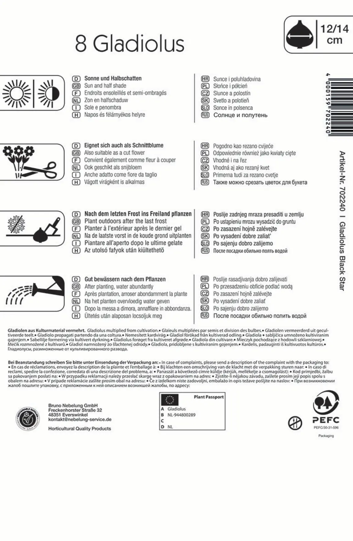 Kiepenkerl Großblumige Gladiole Black Star