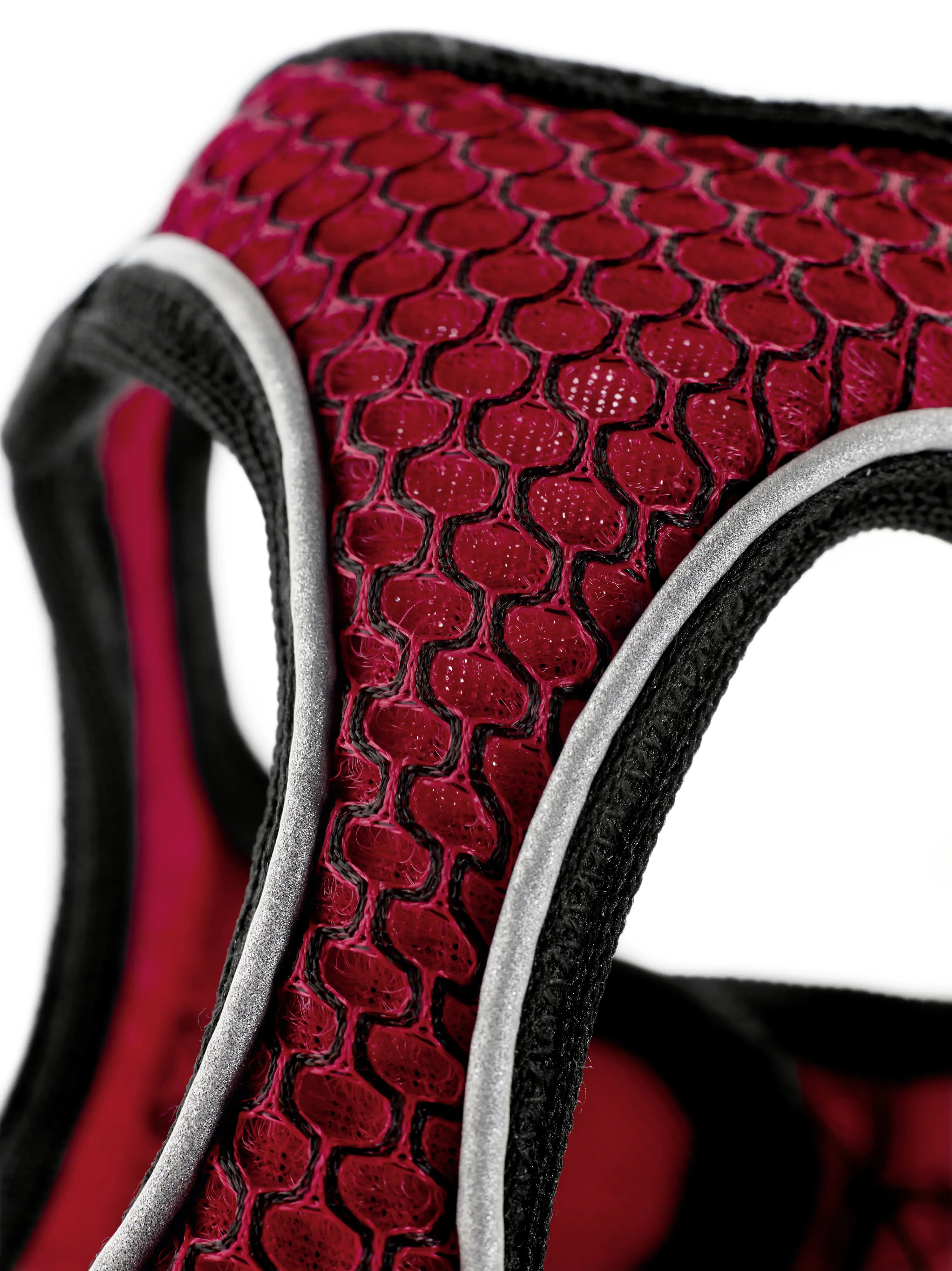 Hundegeschirr Hilo 33-36/XXS-XS rot