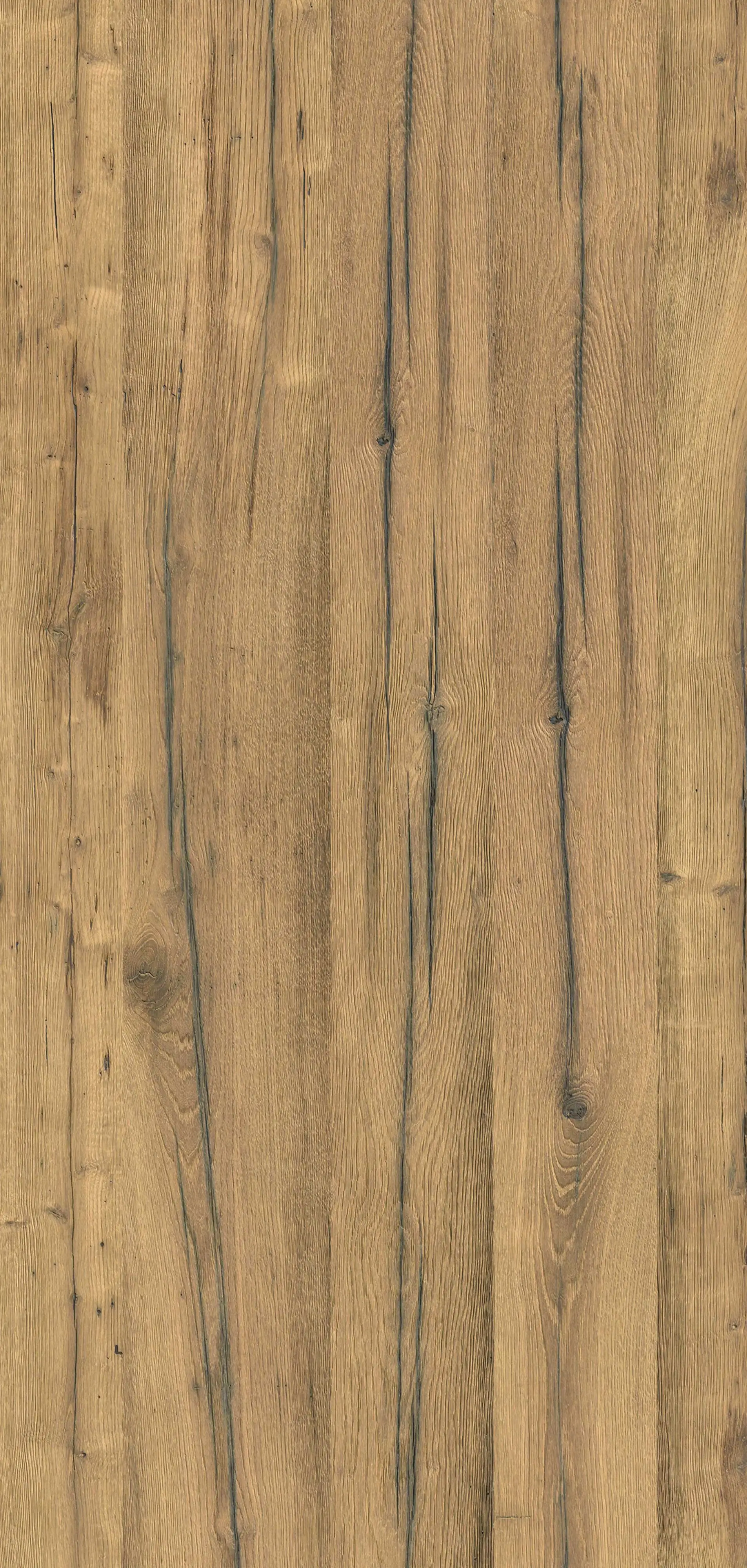 Schulte Duschrückwand Holz Schwarzwaldeiche-hell 100 x 210 cm Schulte Duschrückwand Holz Schwarzwaldeiche-hell 100 x 210 cm