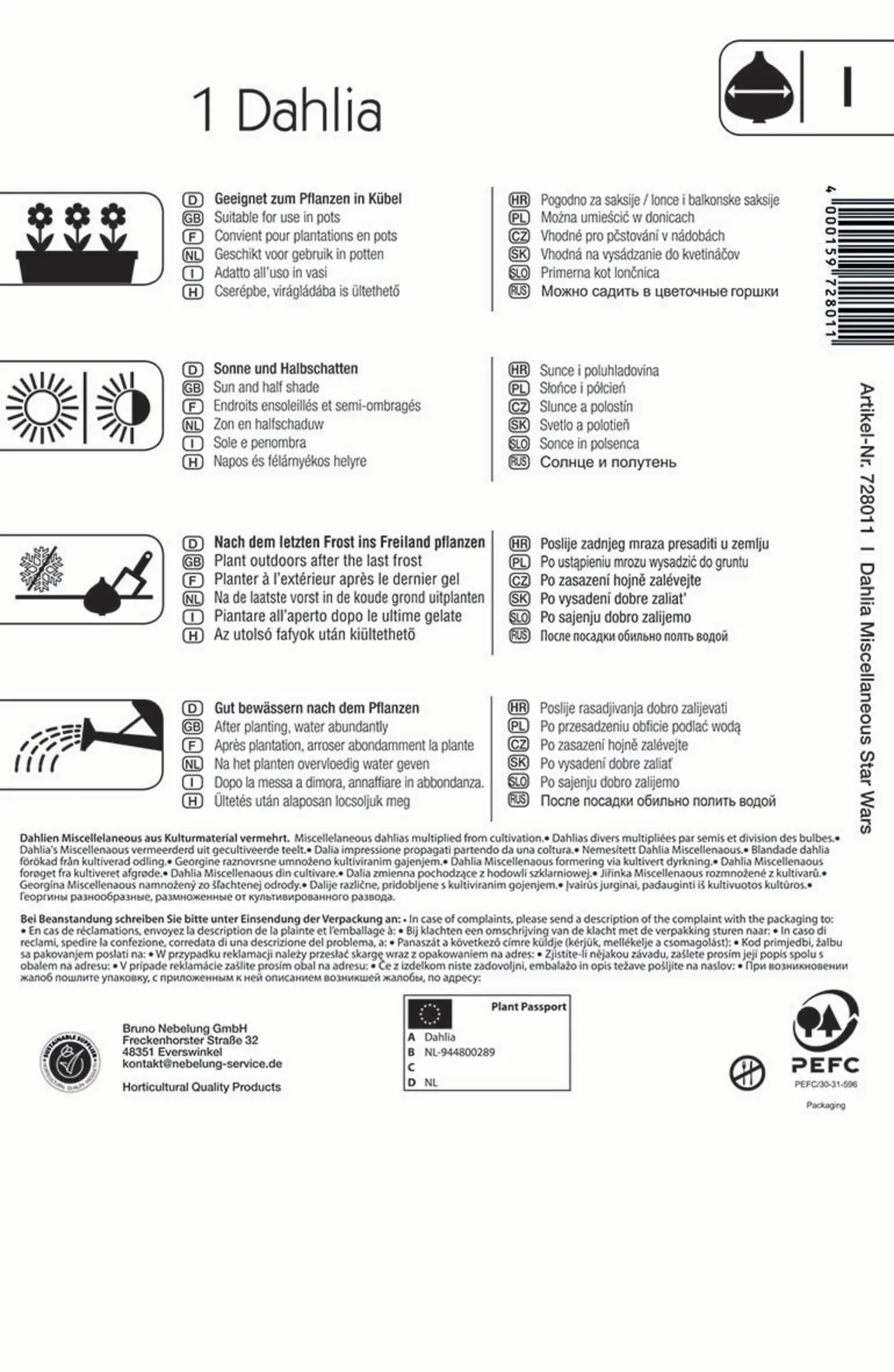 Kiepenkerl Frühjahrsblumenzwiebel Dahlie Star Wars 1 Stück