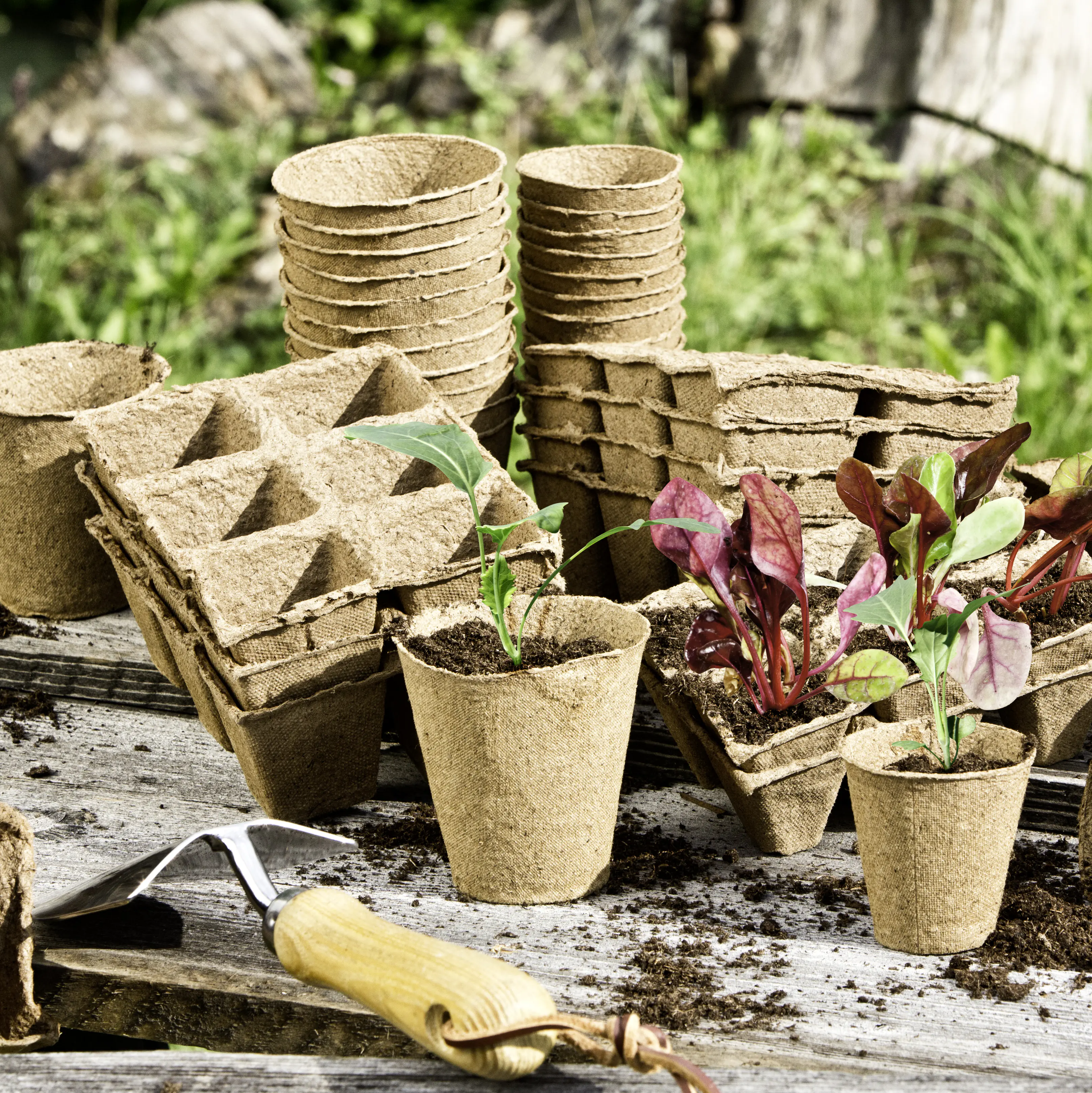 Windhager Anzucht-Töpfe 6 cm eckig