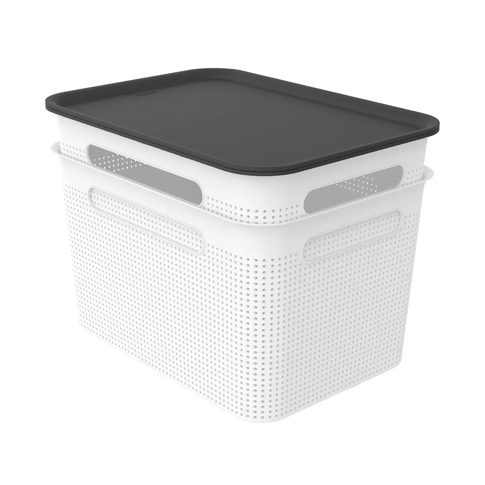 Rotho Aufbewahrungsbox Brisen mit Deckel 36,5 x 26,5 cm 16 L mistletoe weiß 2er Set