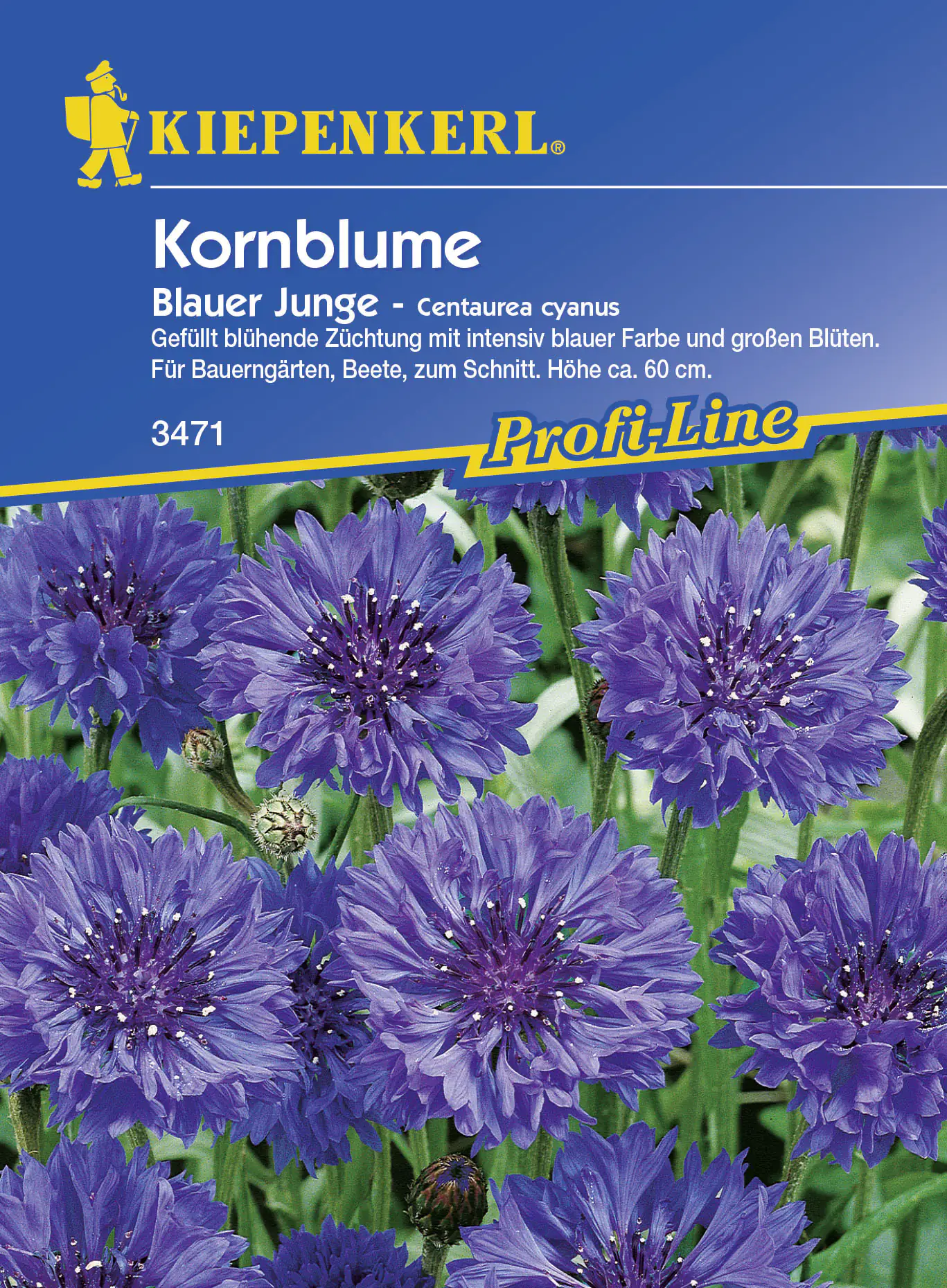Kiepenkerl Kornblume Blauer Junge Centaurea cyanus, Inhalt: ca. 60 Pflanzen Kiepenkerl Kornblume Blauer Junge Centaurea cyanus, Inhalt: ca. 60 Pflanzen