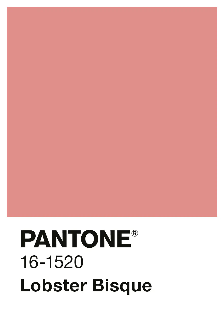 Alpina Wandfarbe Pantone matt lobster bisque 2,5 L