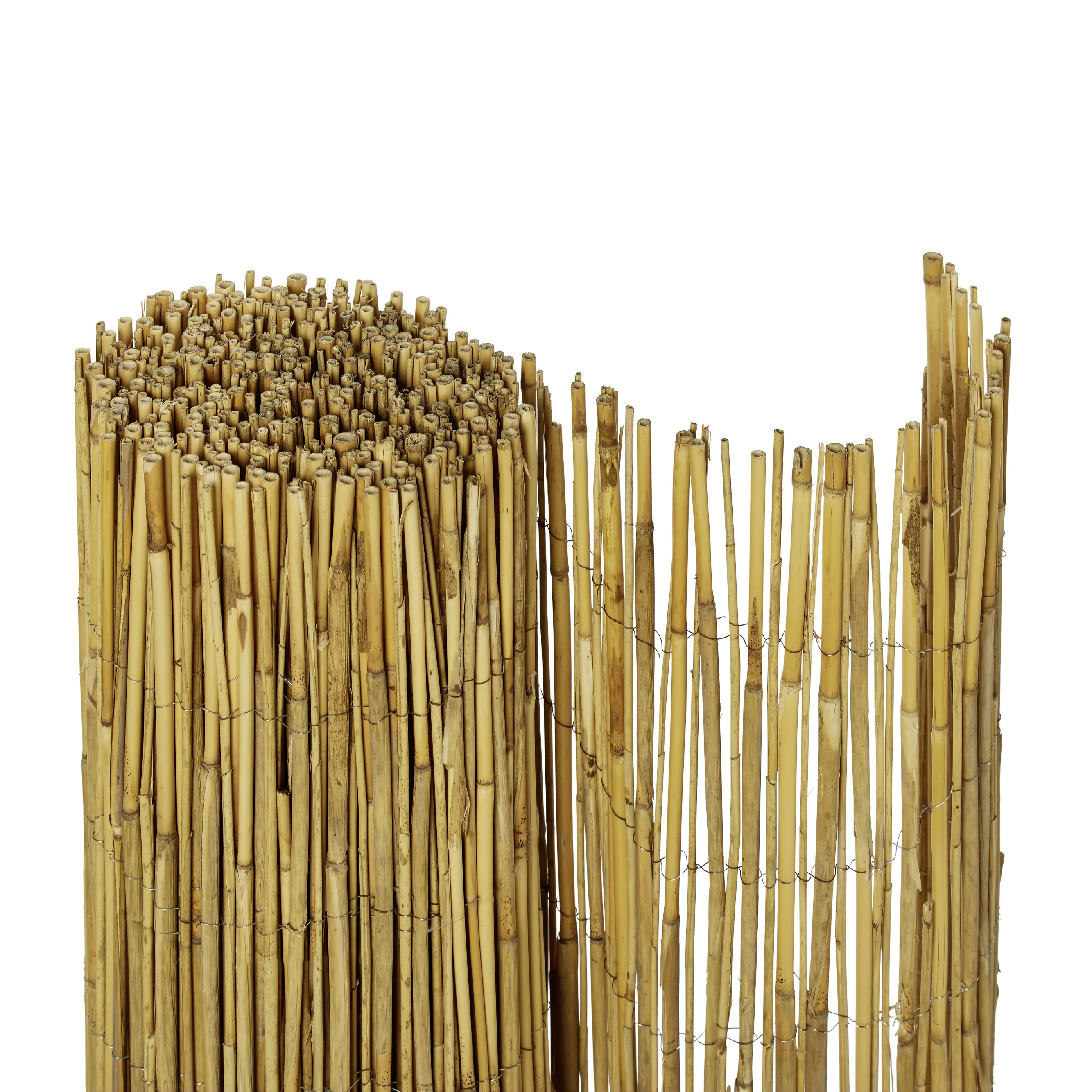 Schilfrohrmatte 1,6 x 6 m Schilfrohrmatte 1,6 x 6 m