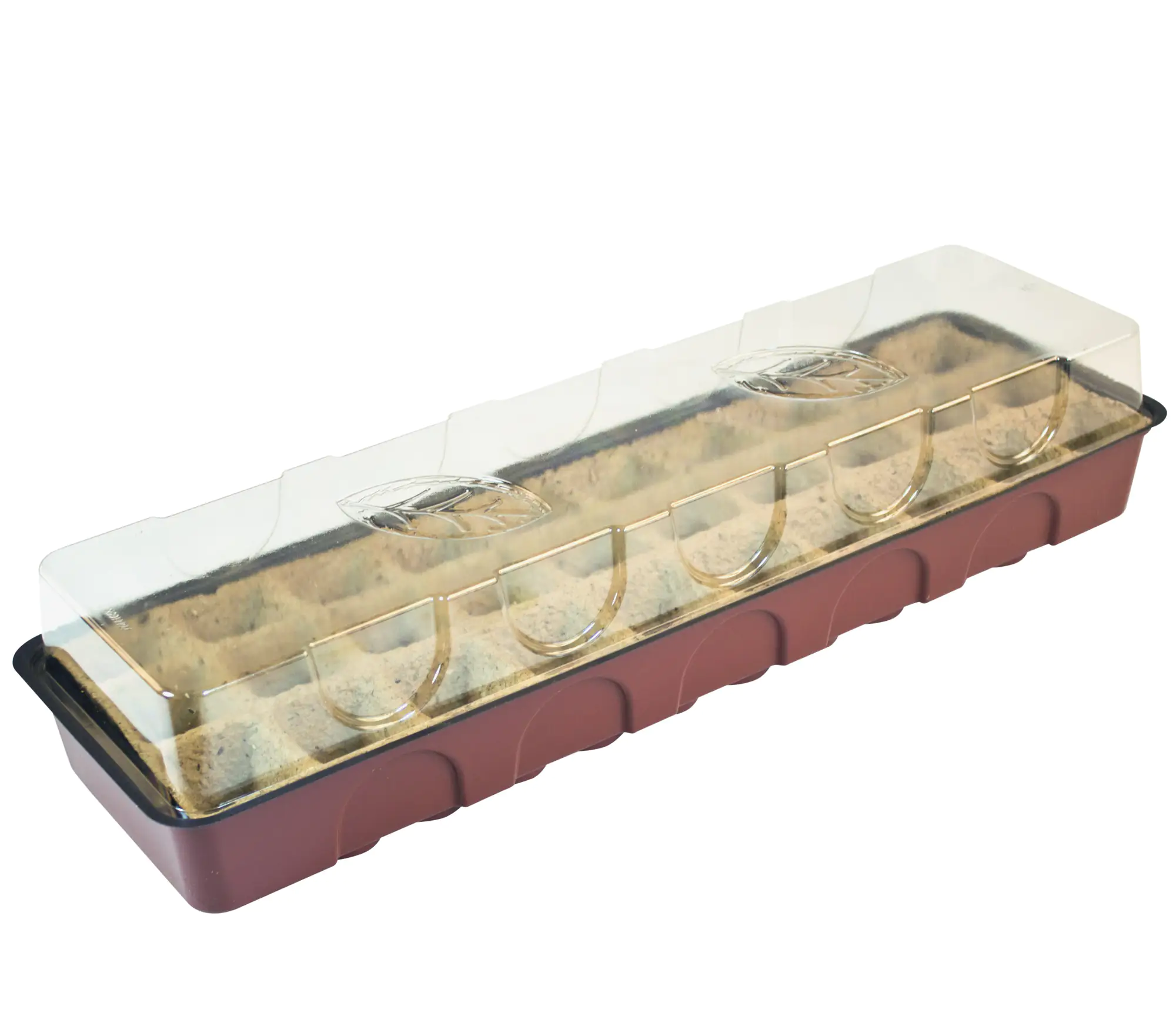 Windhager Anzucht-Gewächshaus 54,5 x 16,5 x 11 cm inkl. 30 Anzucht-Töpfe