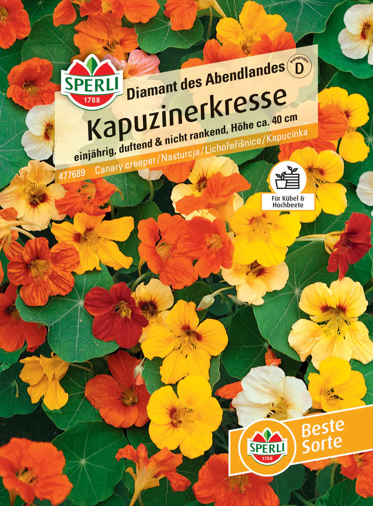 Sperli Kapuzinerkresse Diamant des Abendlandes